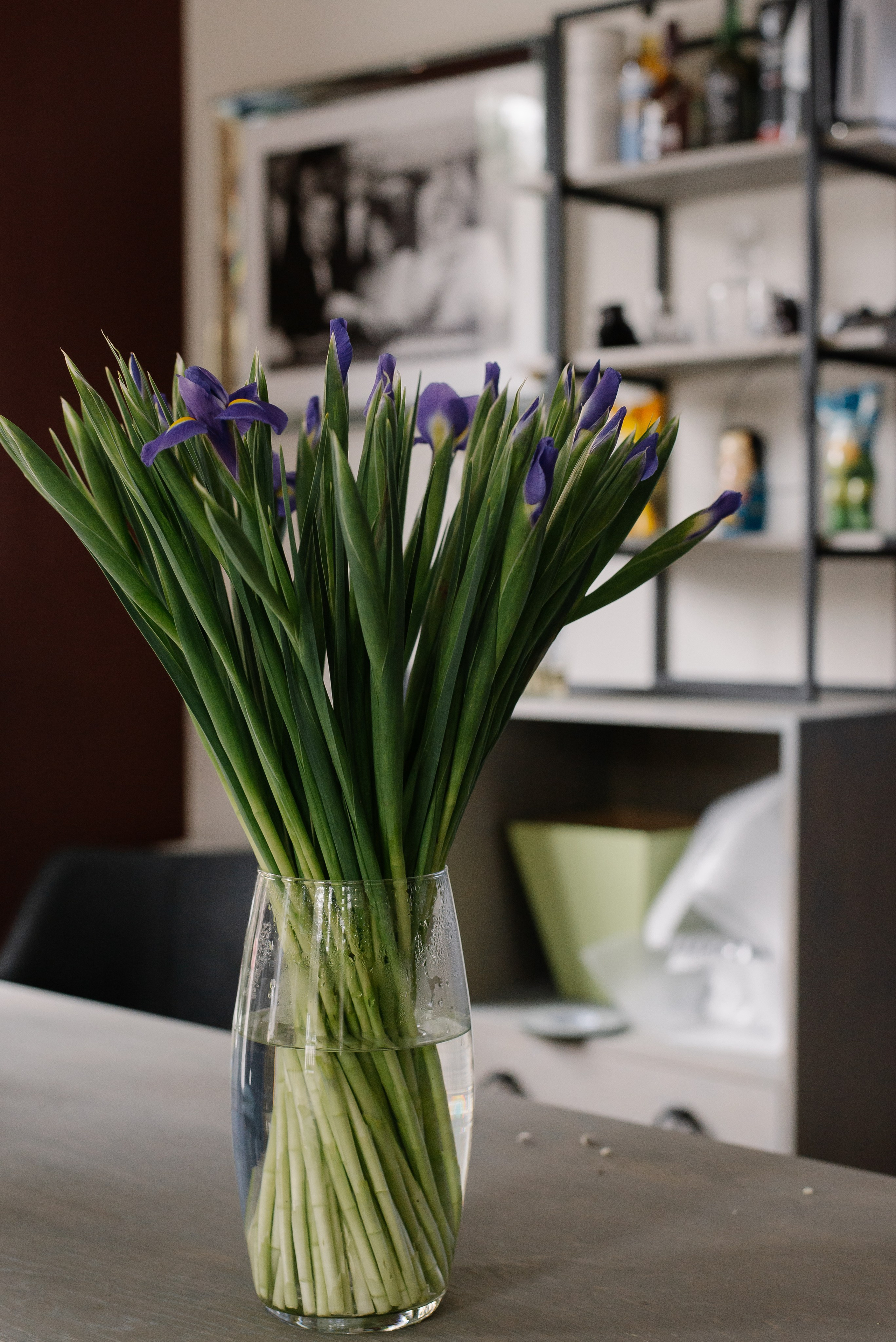 Garden Street. Портретный фотограф Ксения Люндовская