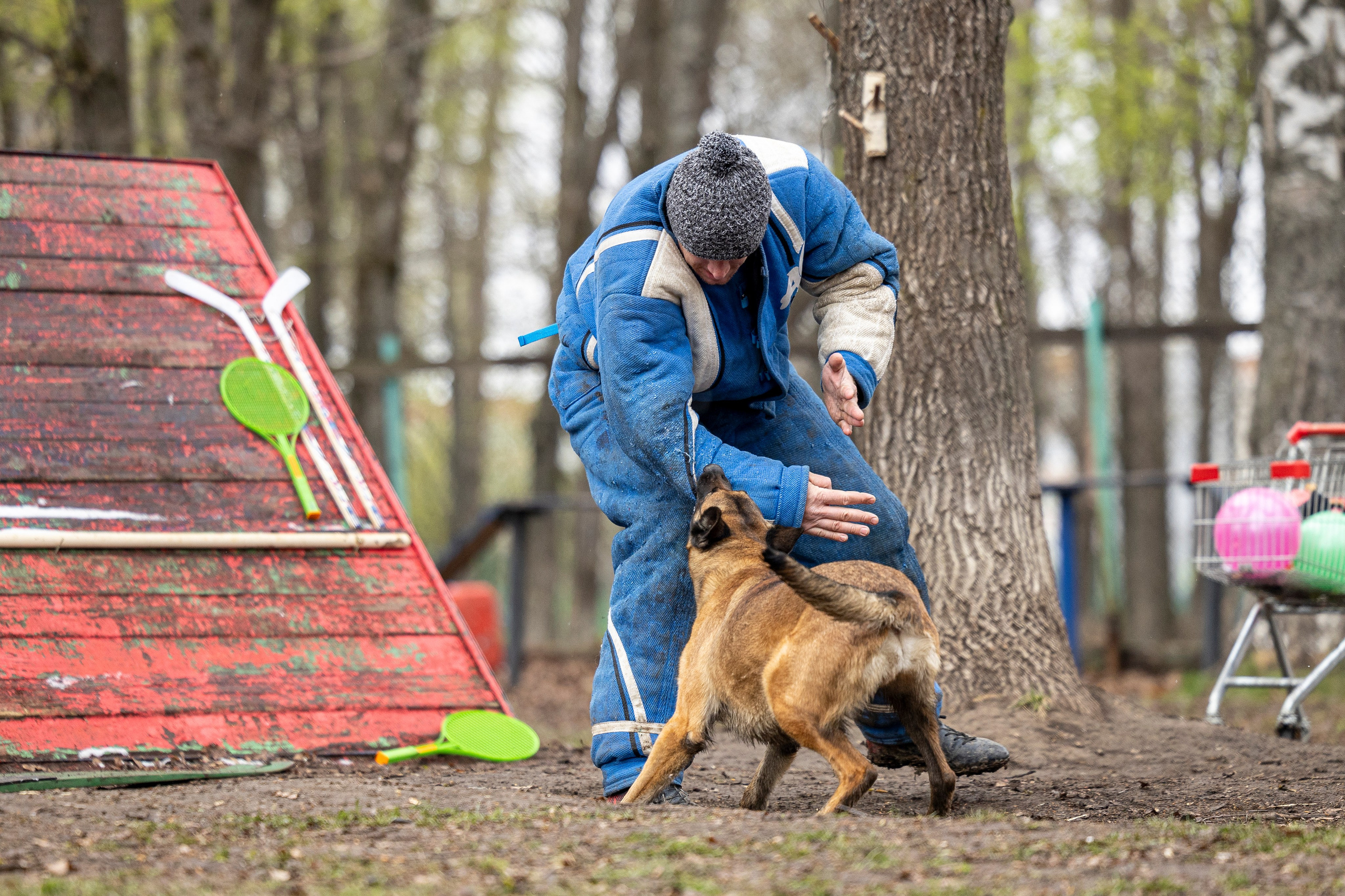 Квалификационные состязания по мондьорингу г. Вологда 11.05.24. Фотограф-анималист Анна Маринич