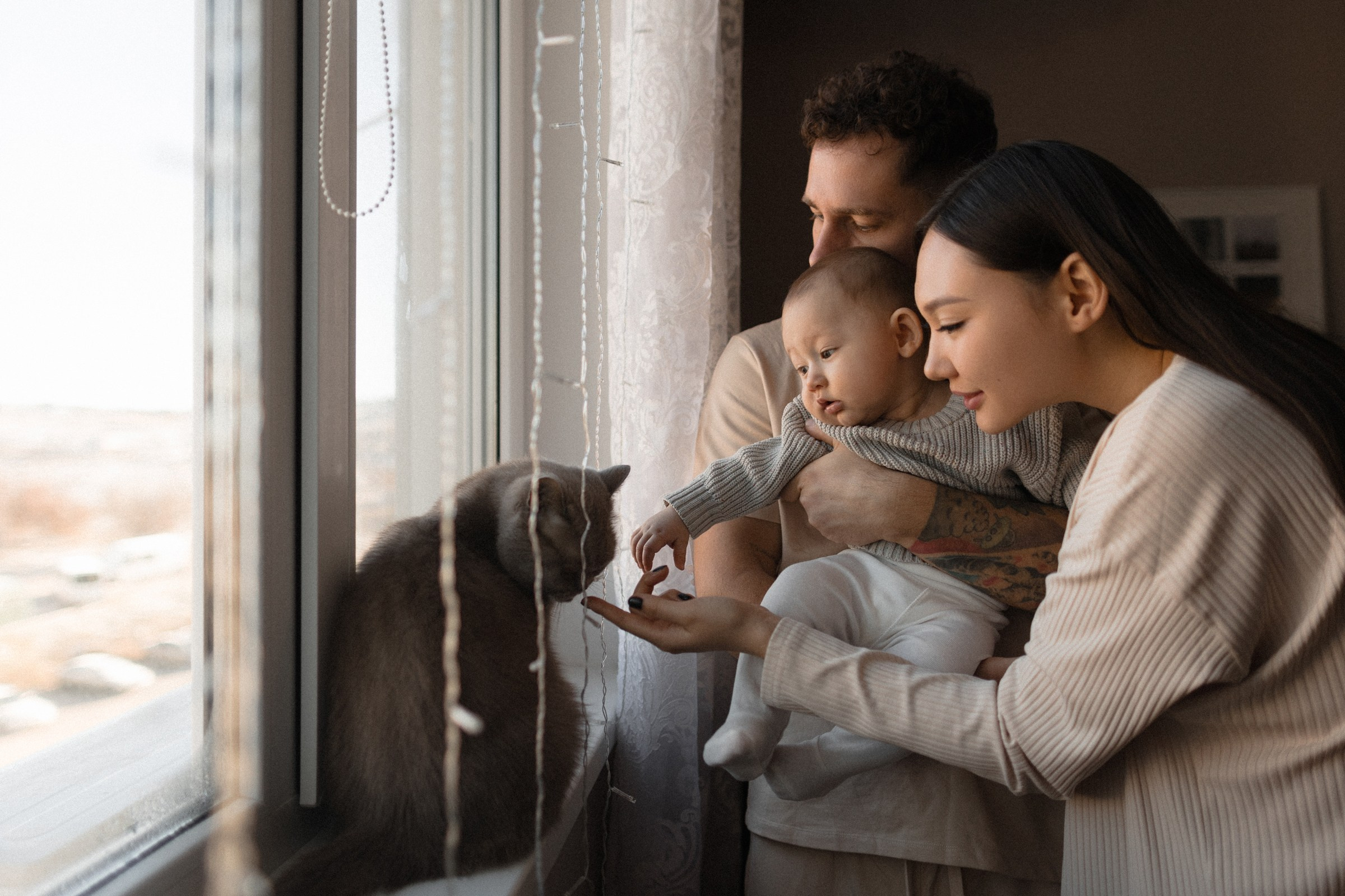 Мой первый дом. Sovushka DS