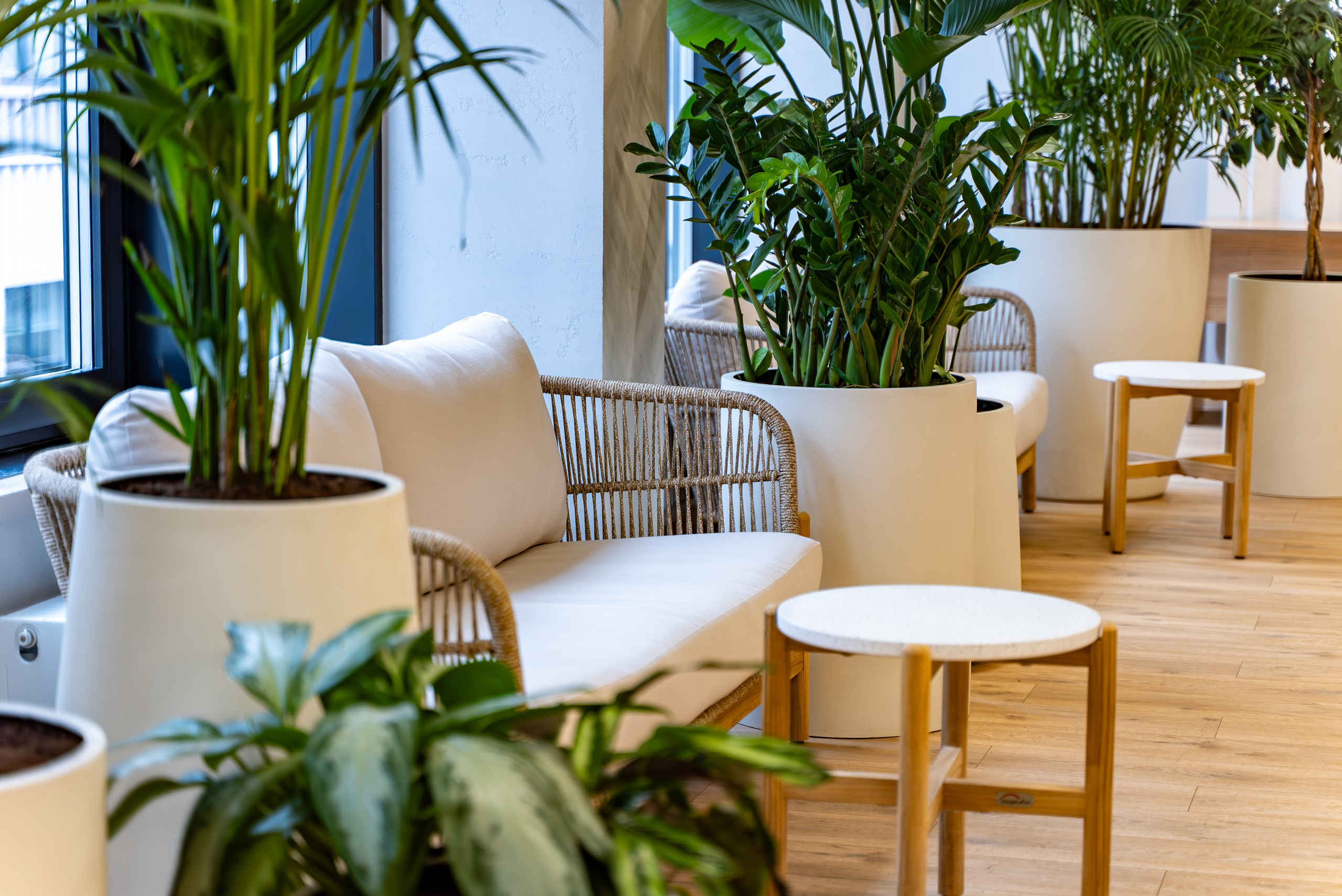 Индустриальный парк — озеленение. KUSTOV PRODUCTION — профессиональная фотосъёмка в Москве