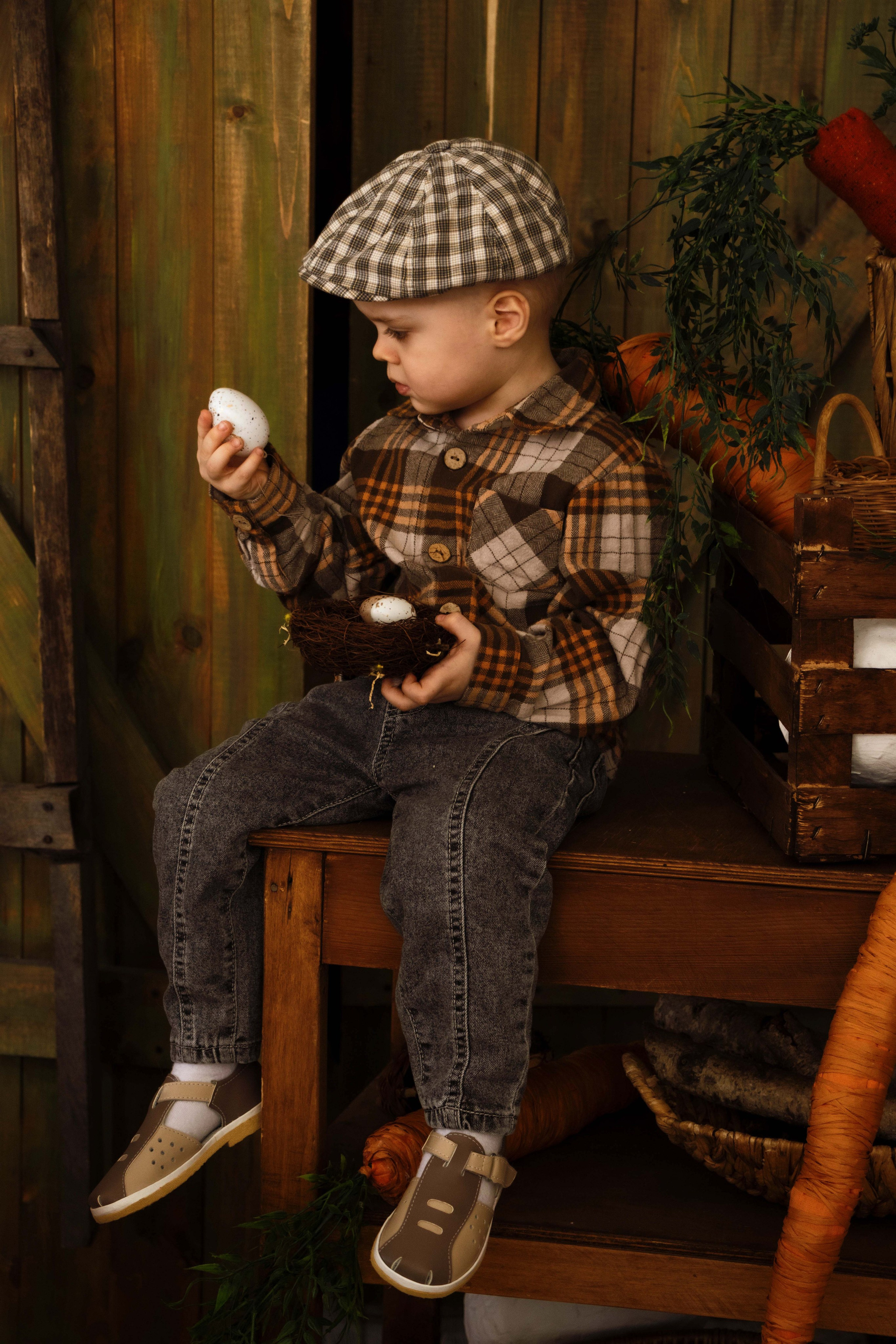 Лев. Фотограф Татьяна Матрос