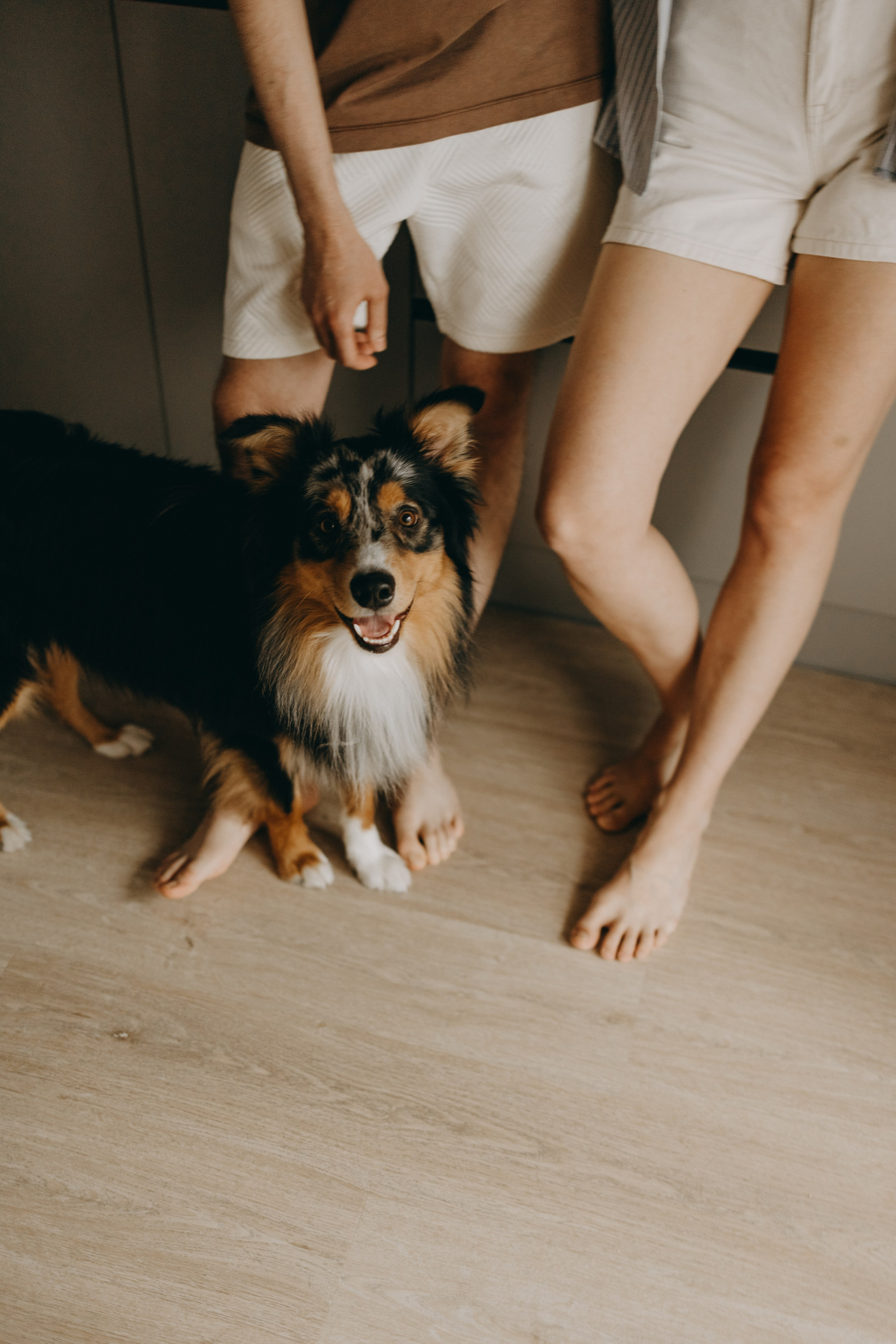Настя, Никита и их Гром и Мяу. Фотограф — Анималист | Санкт-Петербург