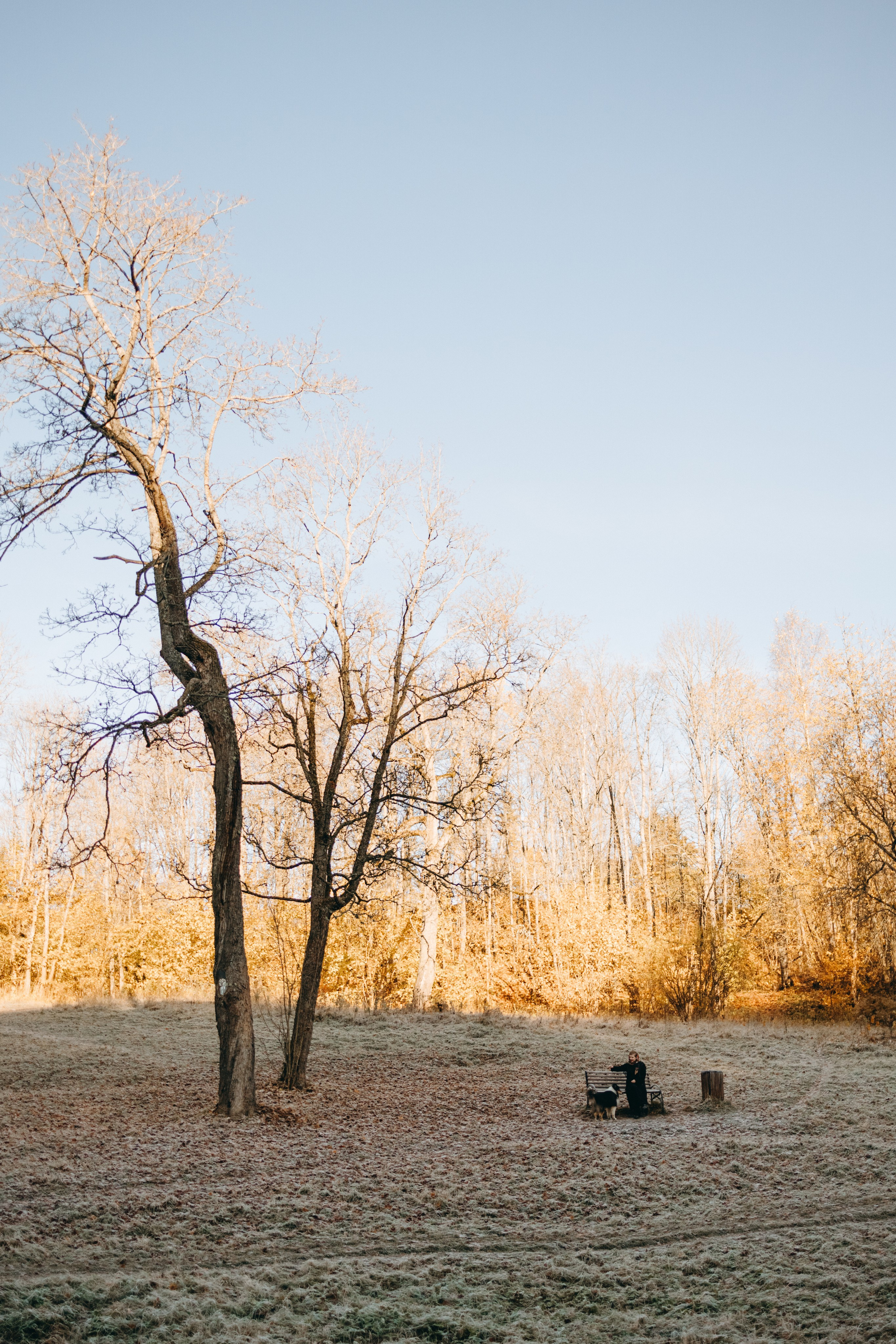 Ия и Барт. Фотограф — Анималист | Санкт-Петербург