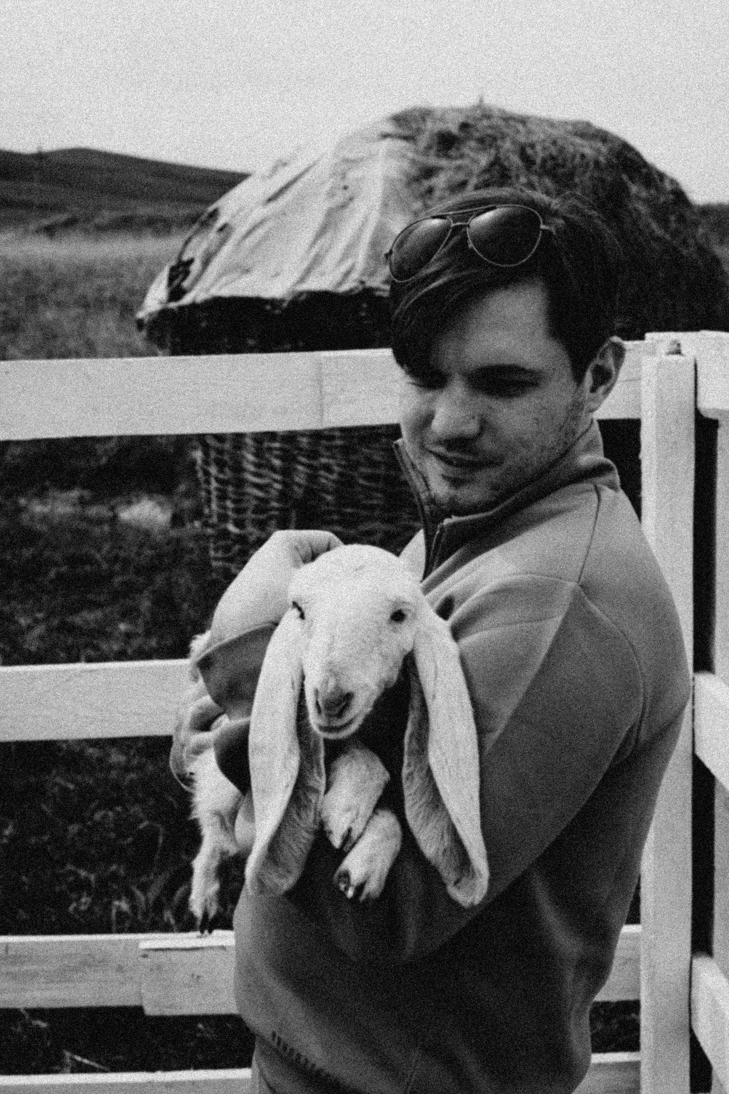 Ферма Альпак. Профессиональный фотограф, Санкт-Петербург — Виктория Богомолова