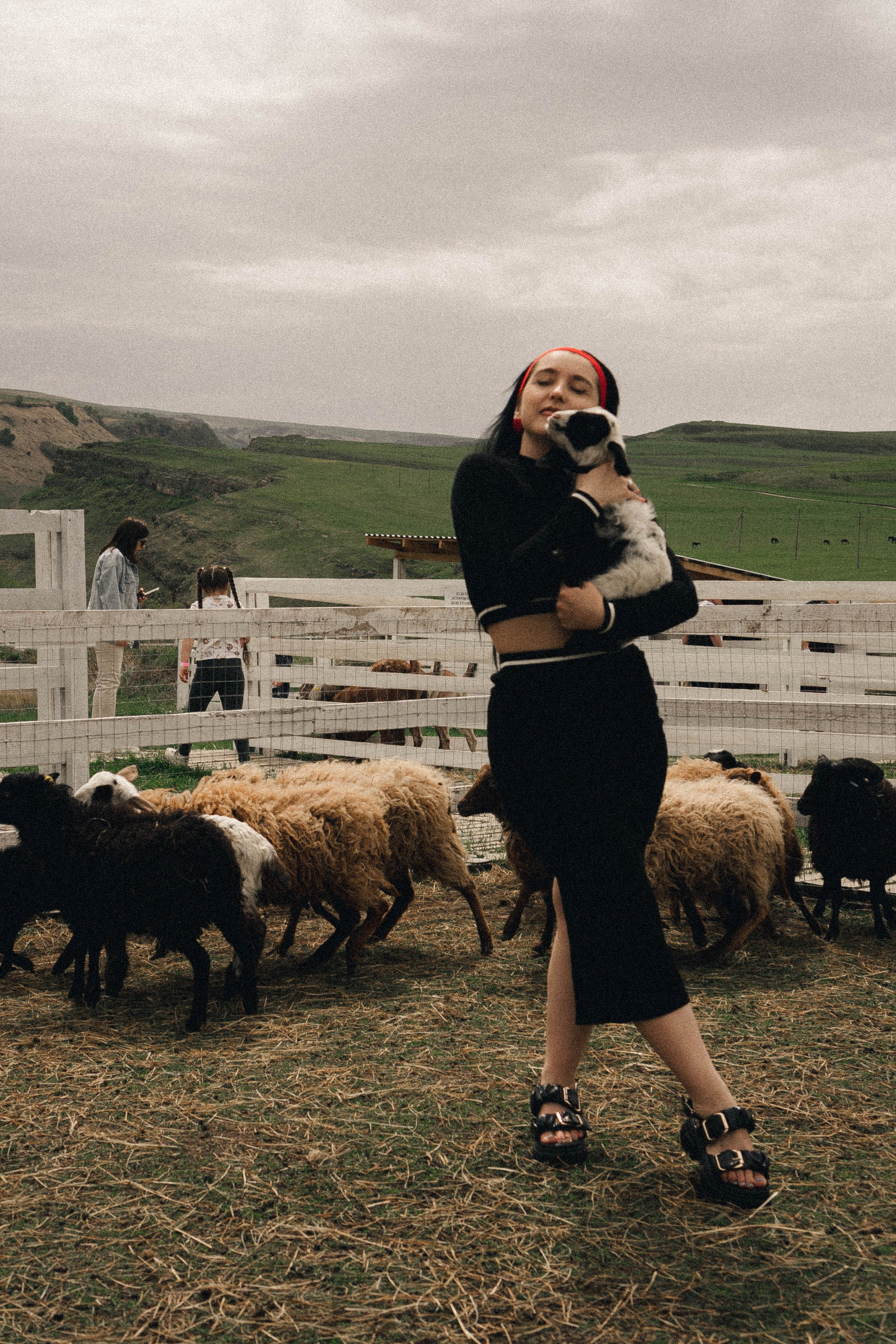Ферма Альпак. Профессиональный фотограф, Санкт-Петербург — Виктория Богомолова