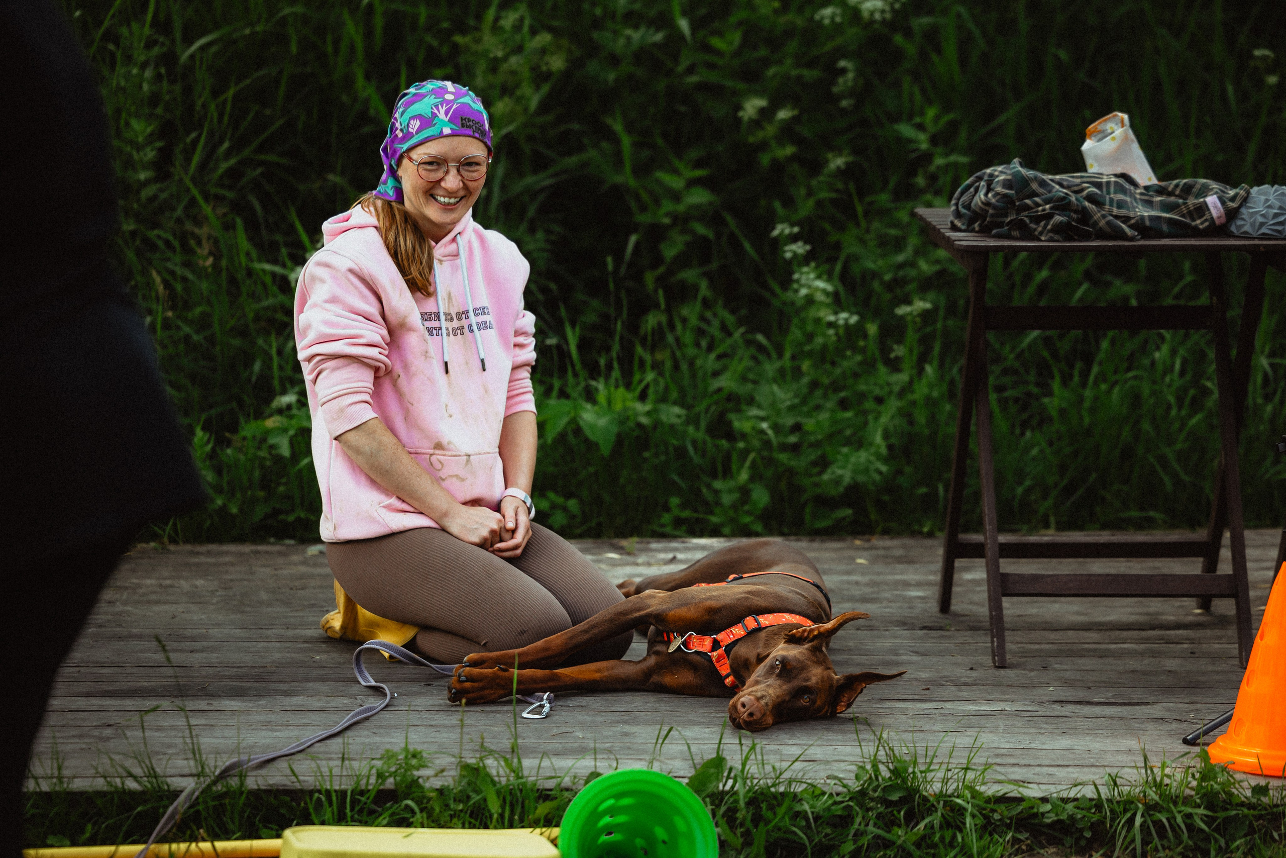 Выездной дог-тренинг от школы «Шерсть имею»