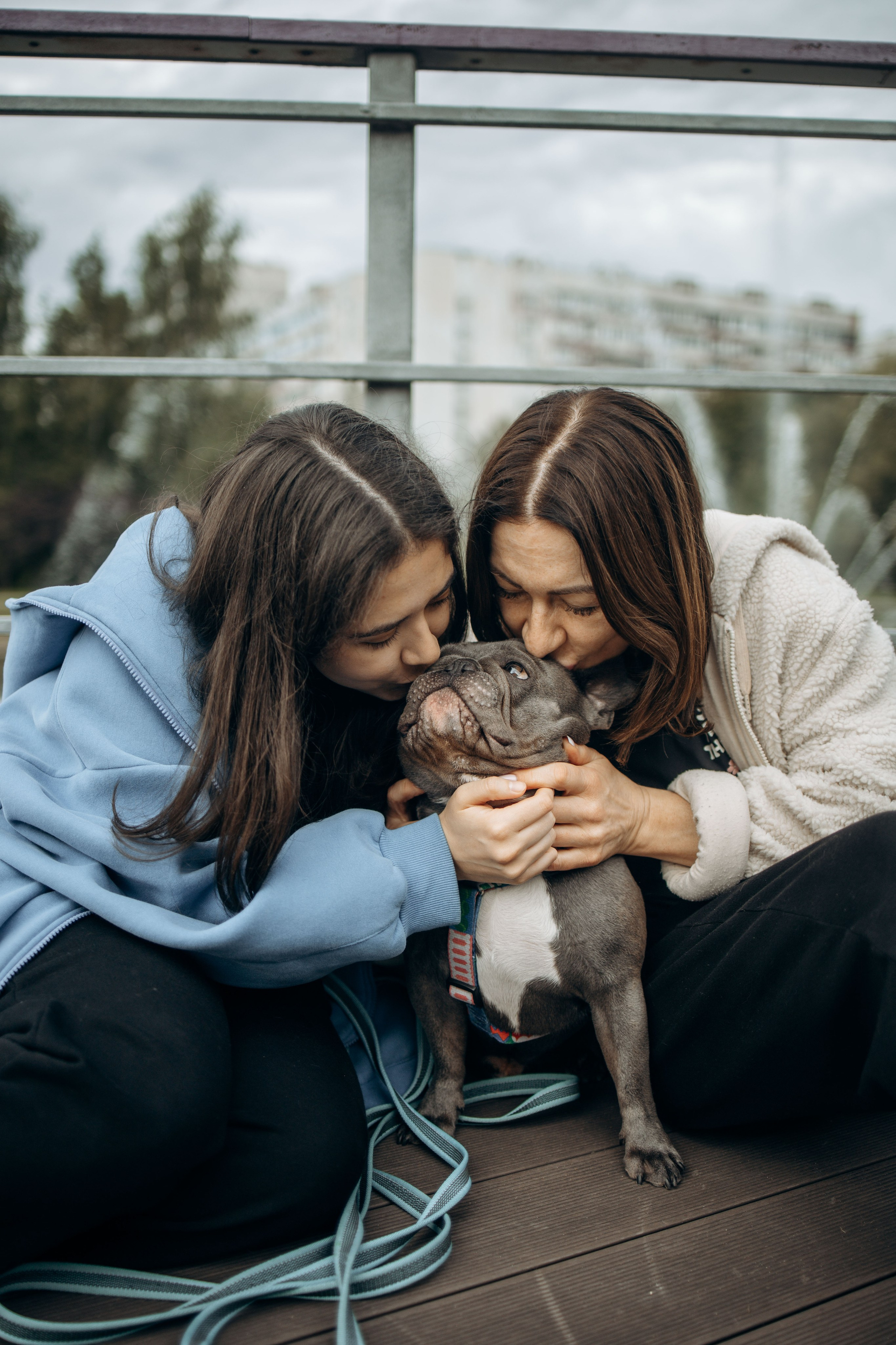 Грей и его семья