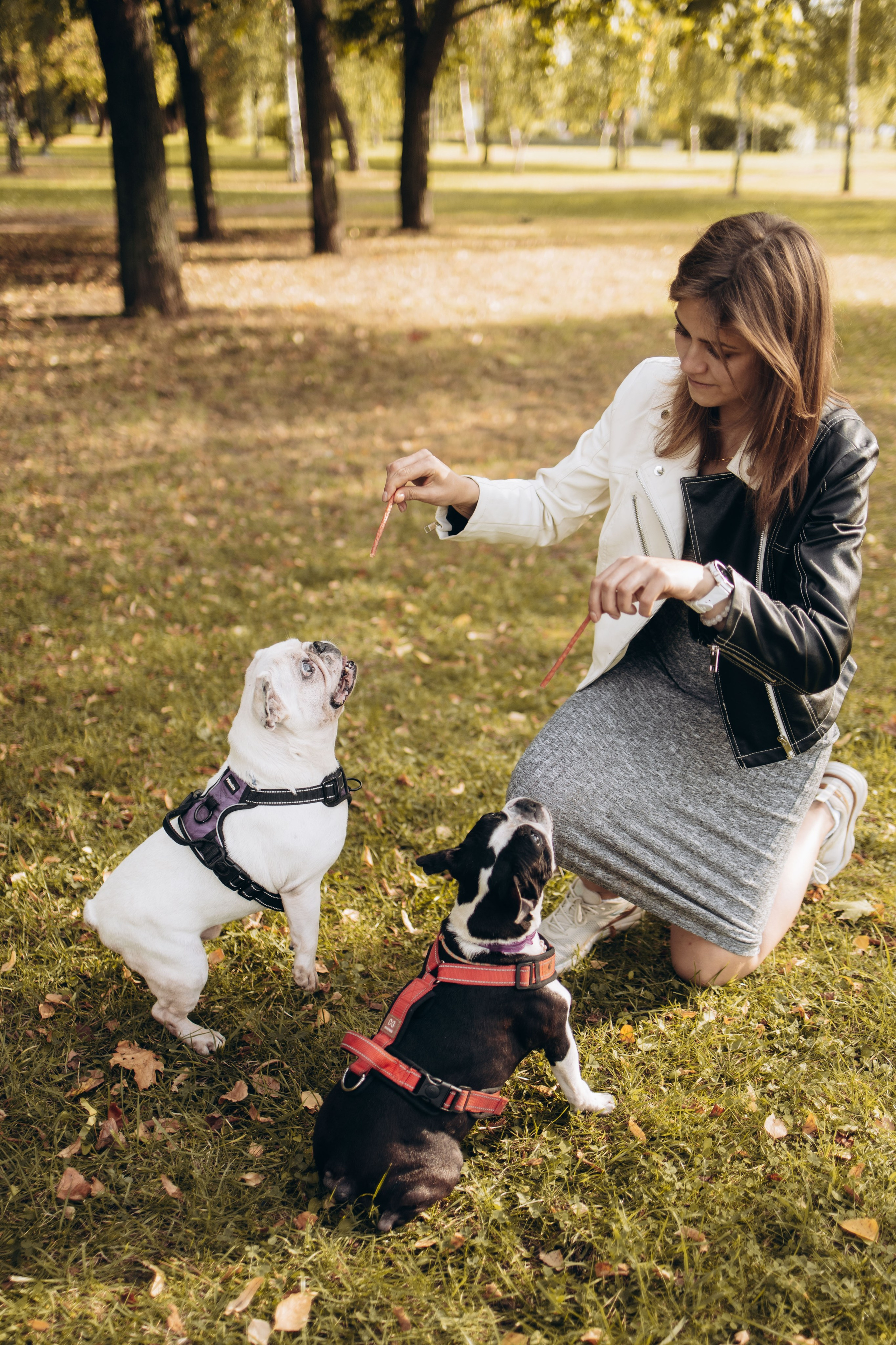 Оля и бульдоги