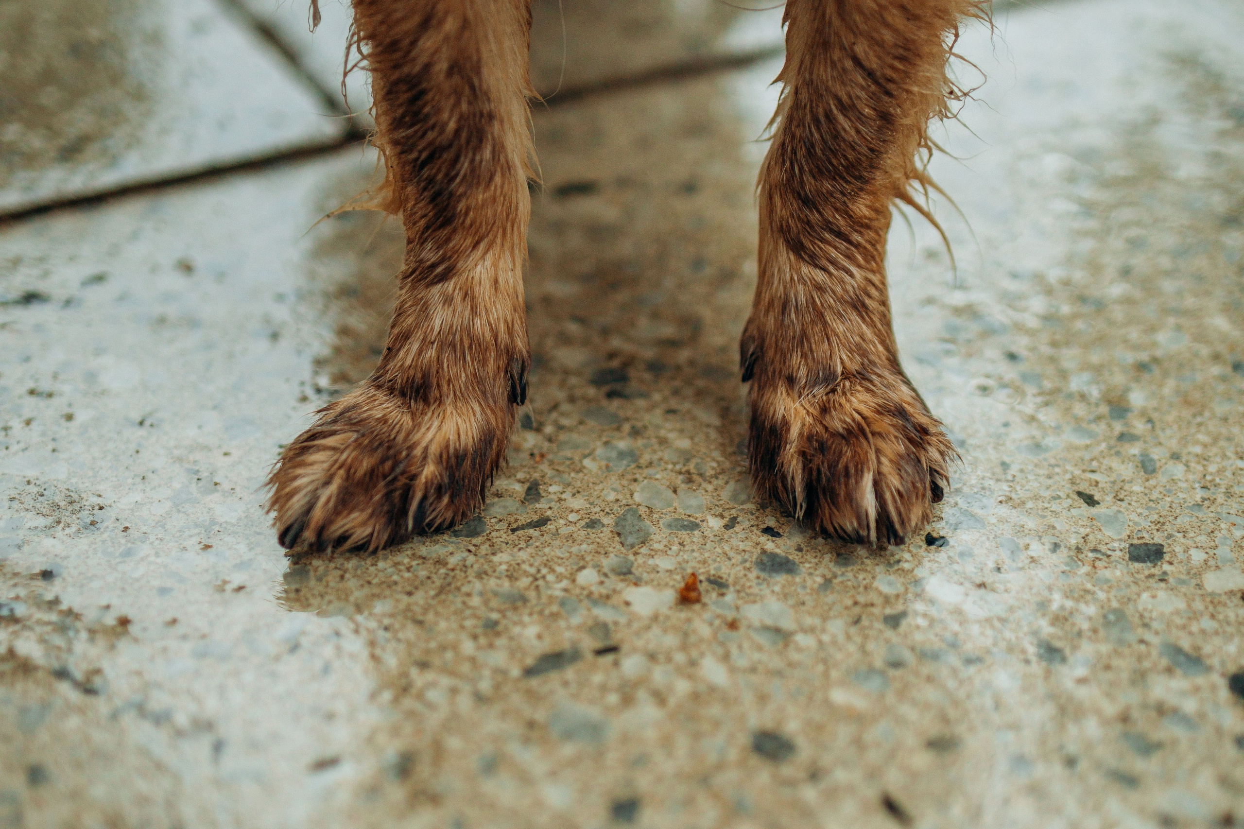 Дарья и Ассоль