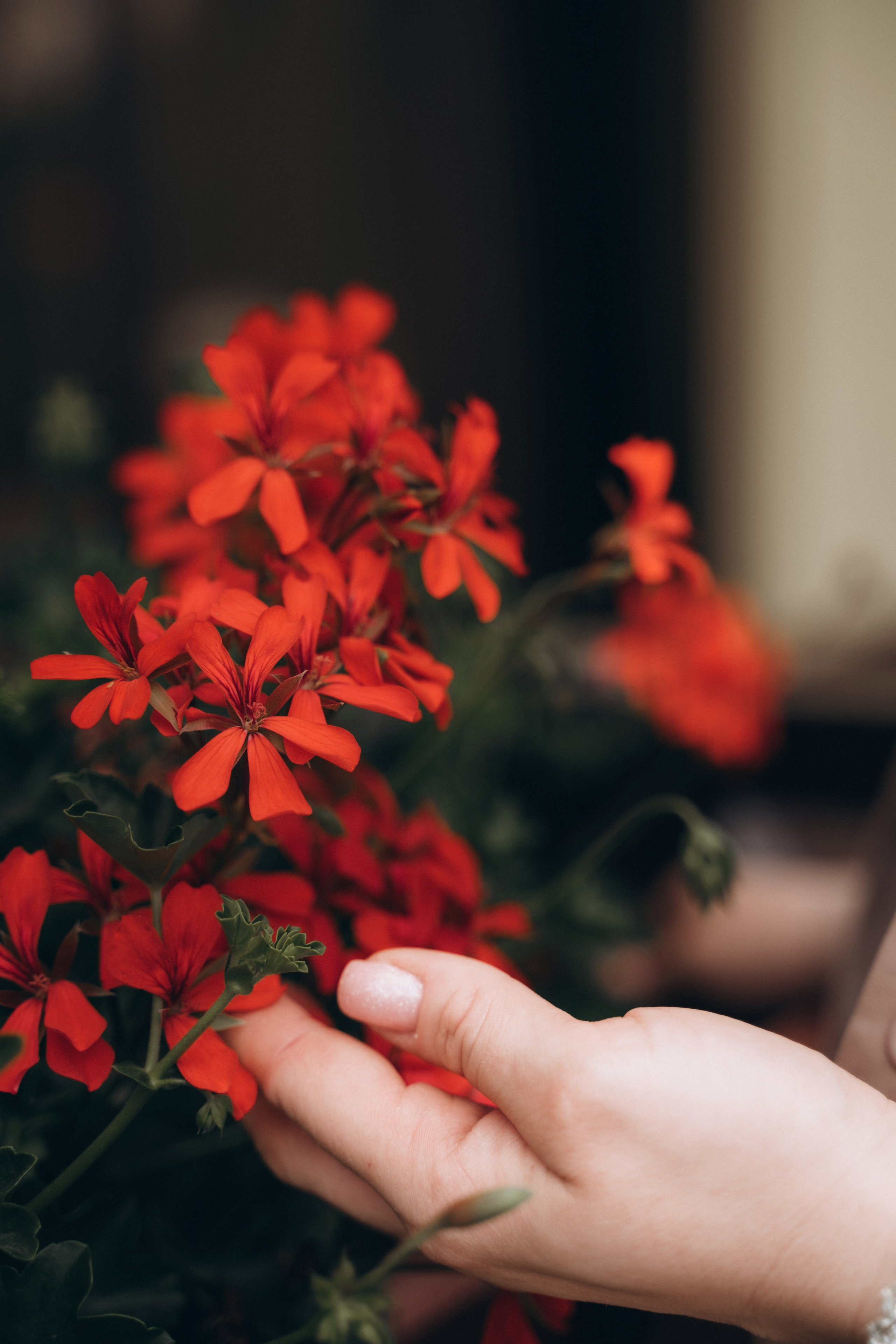 Анастасия фотосессия в отеле. Семейный фотограф в Белгороде Амелина Алина
