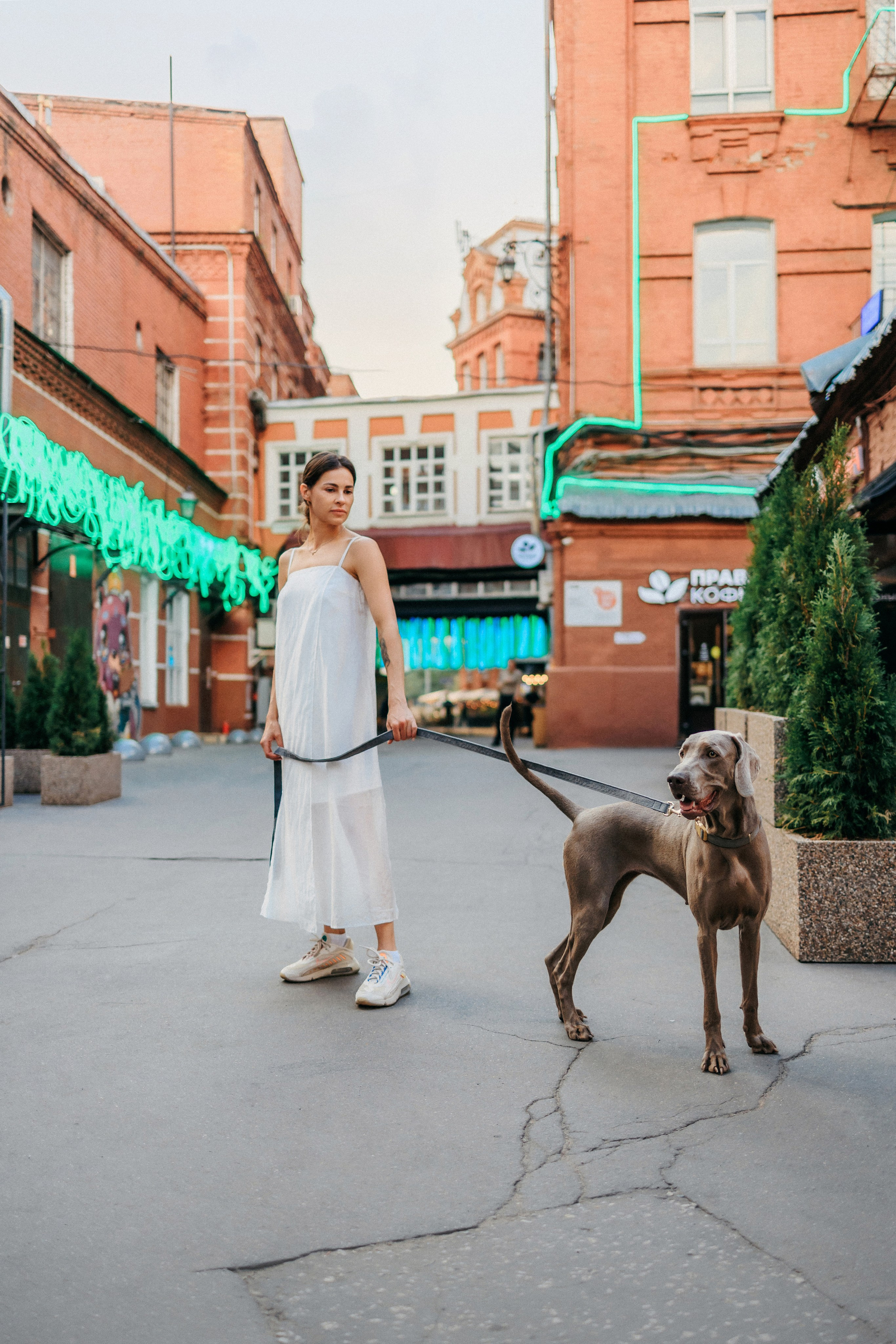 Соня и Майли. Фотограф-анималист Елена Радченко, Москва