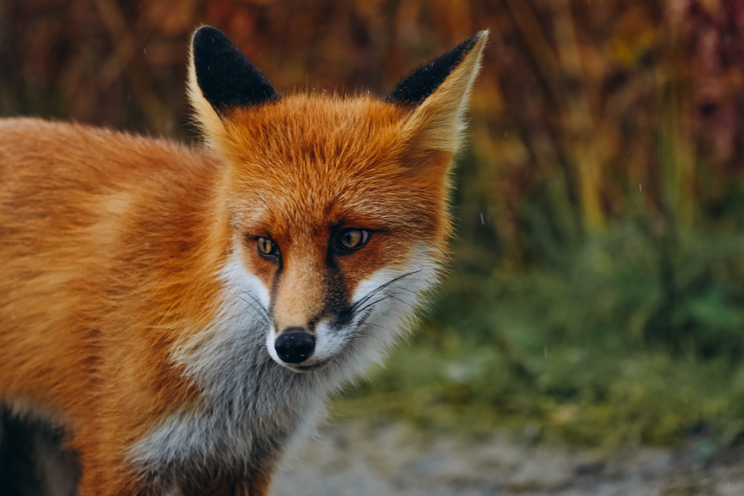 СЕВЕР. Event фотограф Степанова Александра