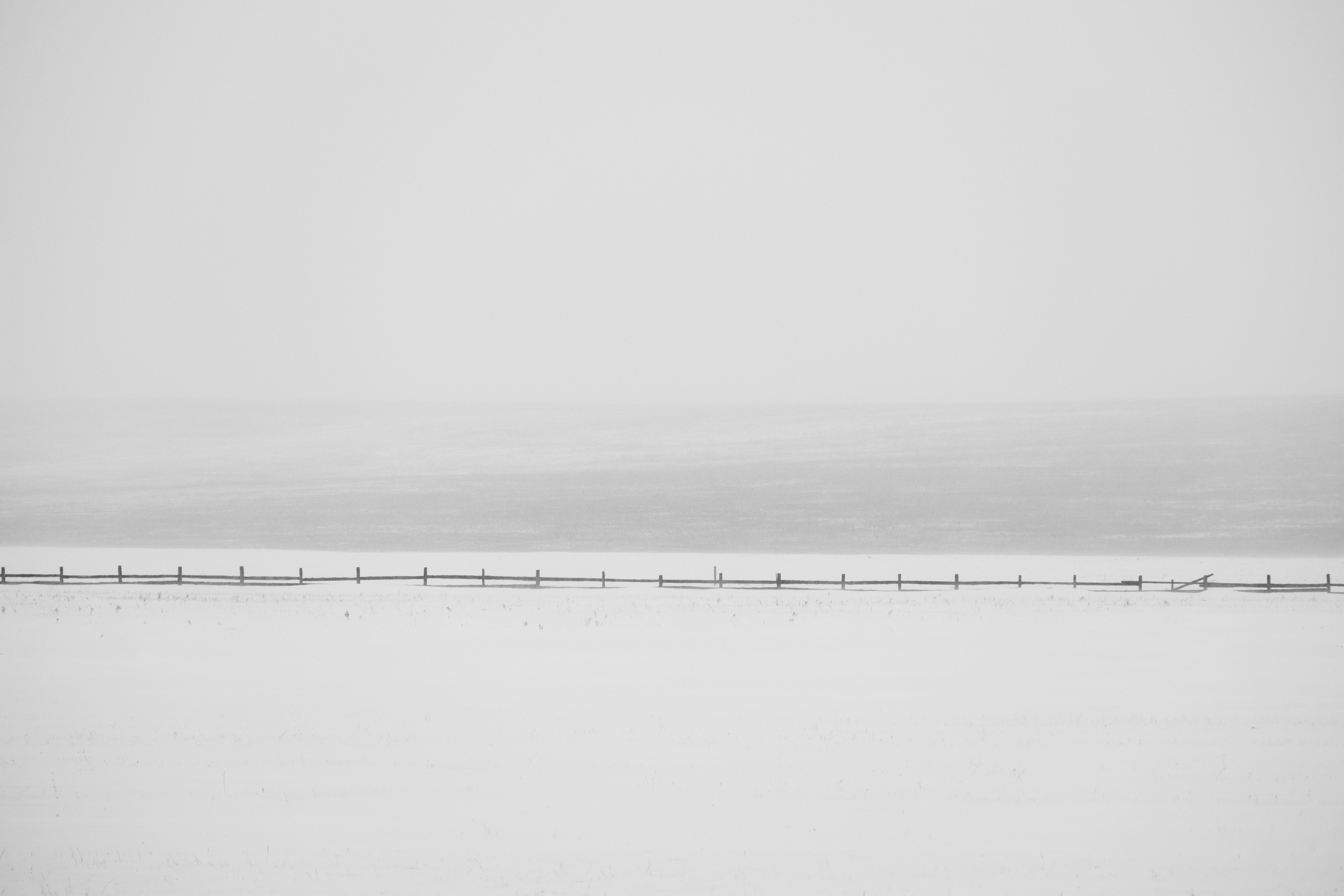 Silence. Irina Borodina