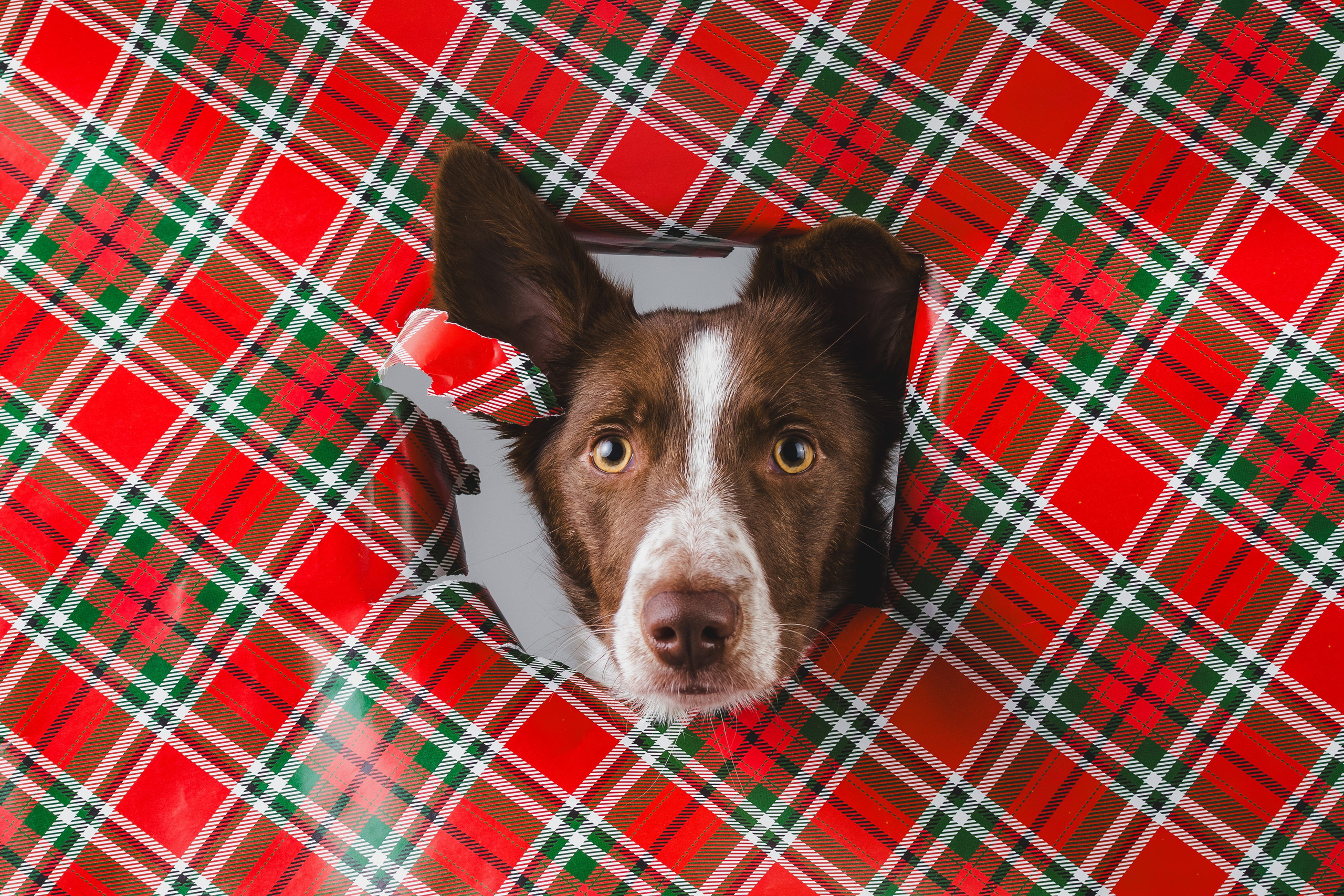 Воркшоп по импульсному свету