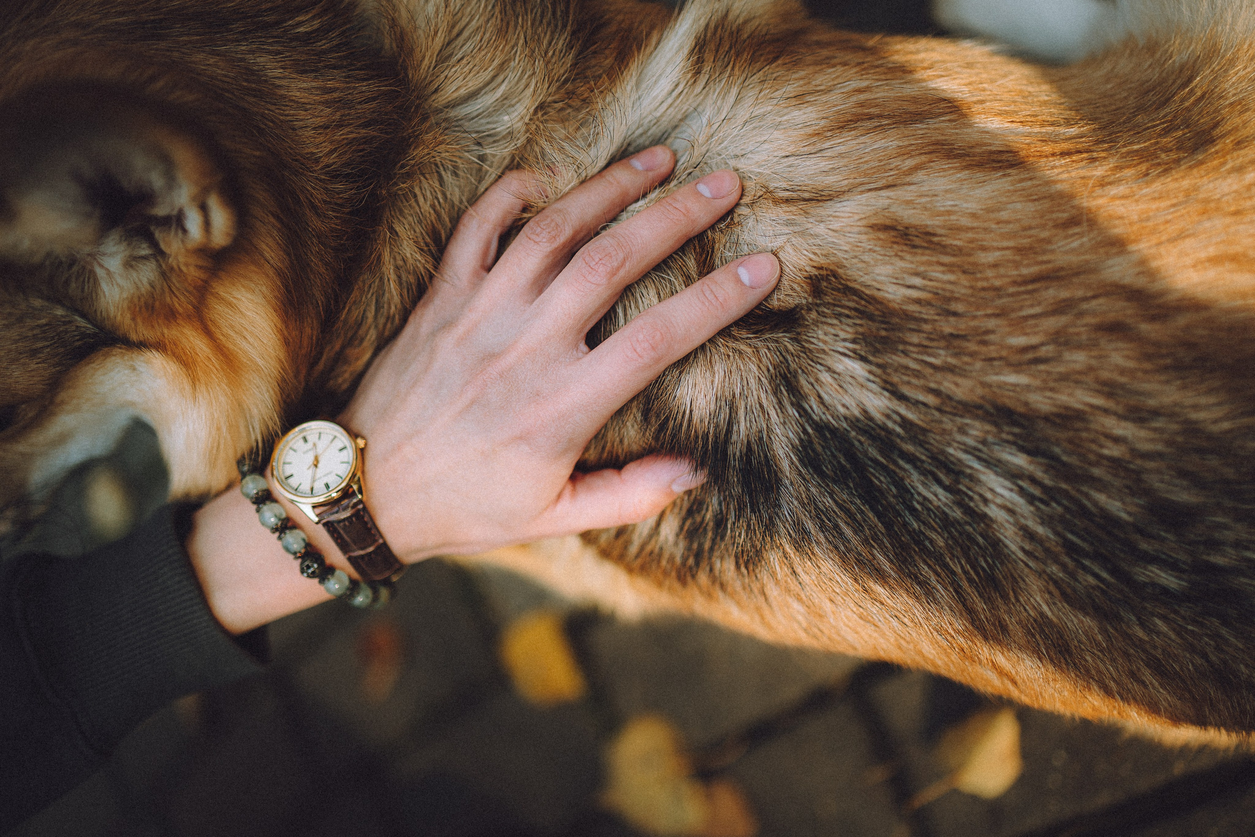 Карина, Даня и Аркаша