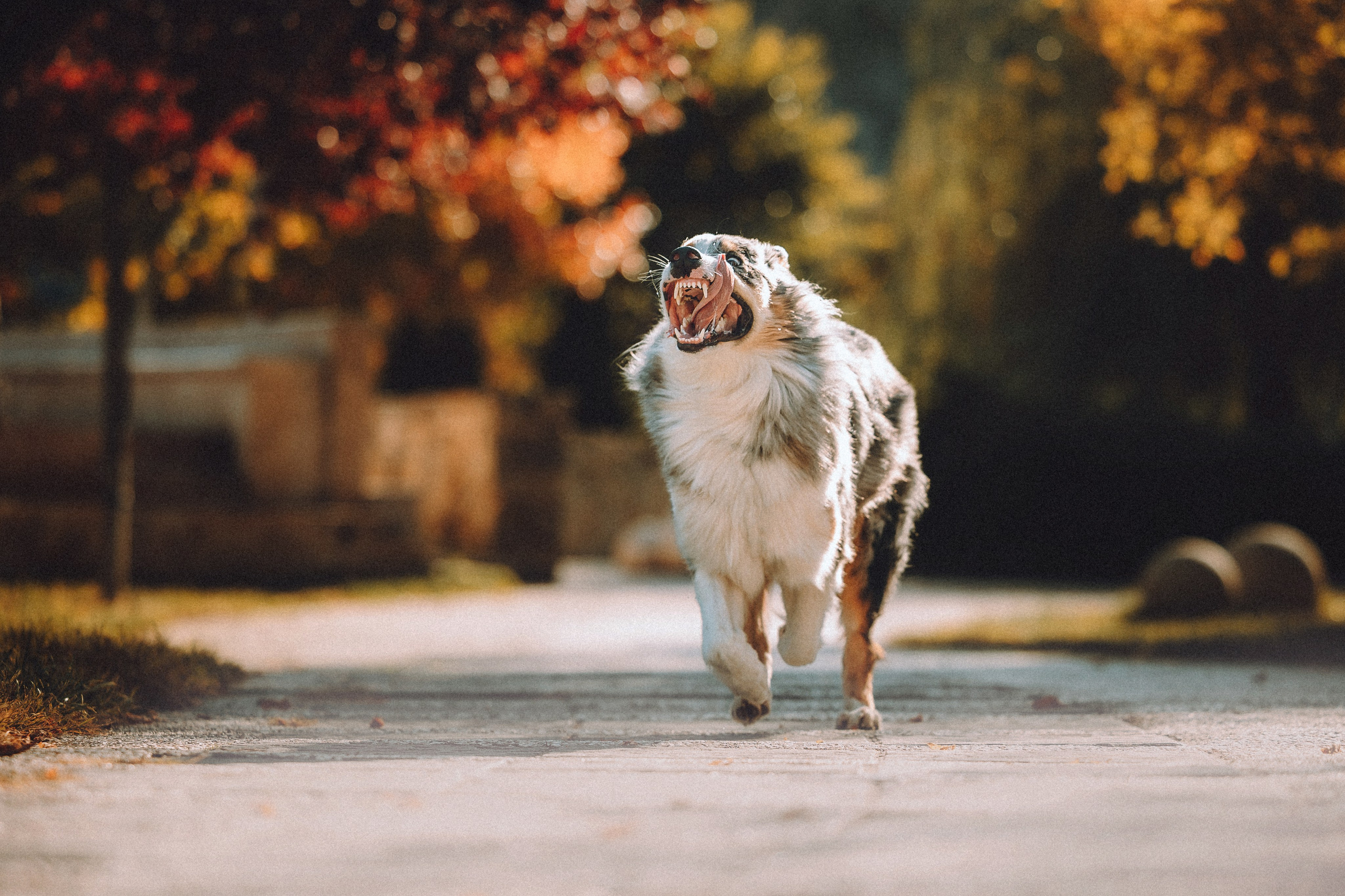 Саша, Рома и Один