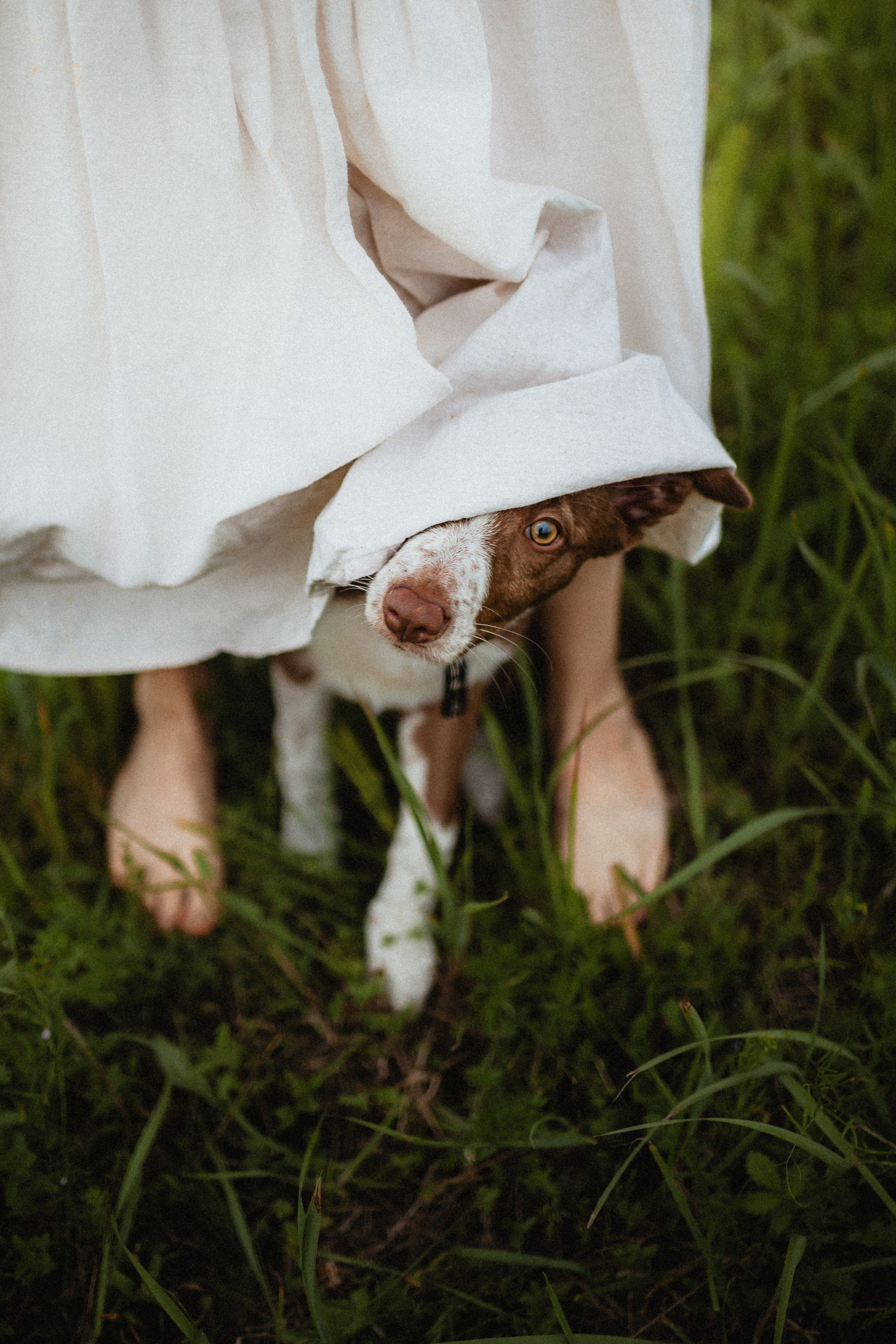 Выездной дог-тренинг от школы «Шерсть имею»