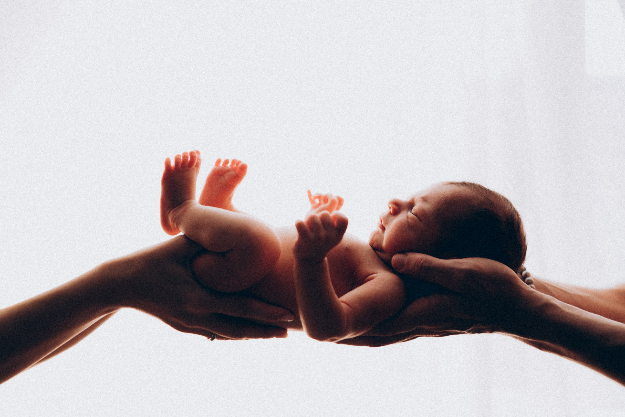 Прайс и Условия. Семейный фотограф и фотограф на роды в Ростове-на-Дону Мухина Виктория