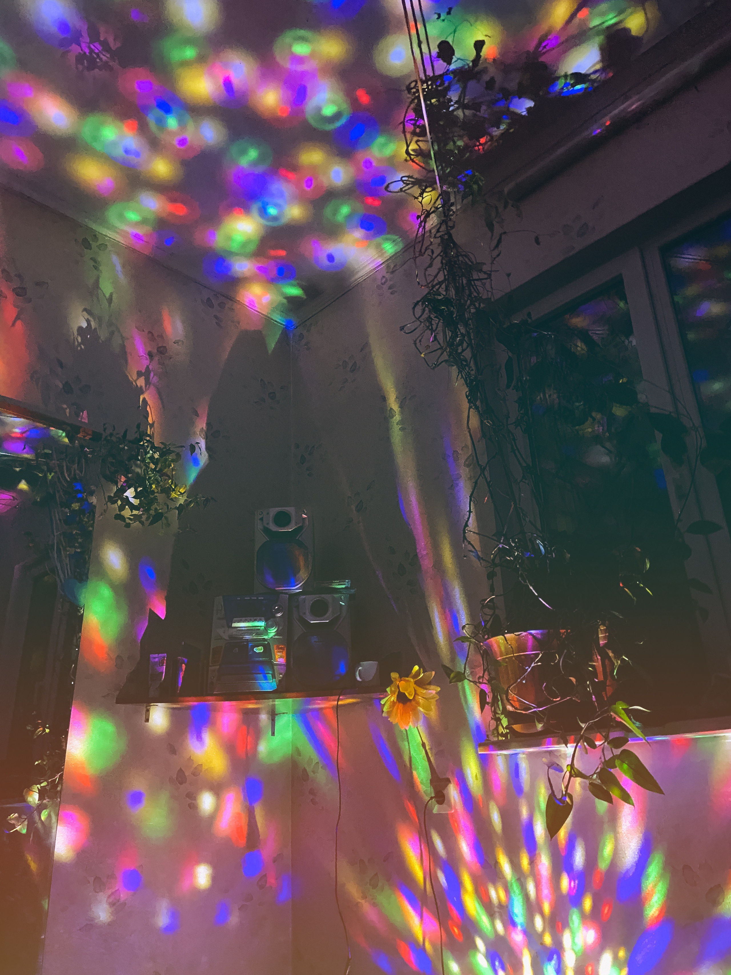 Автор: Евгения Полонская