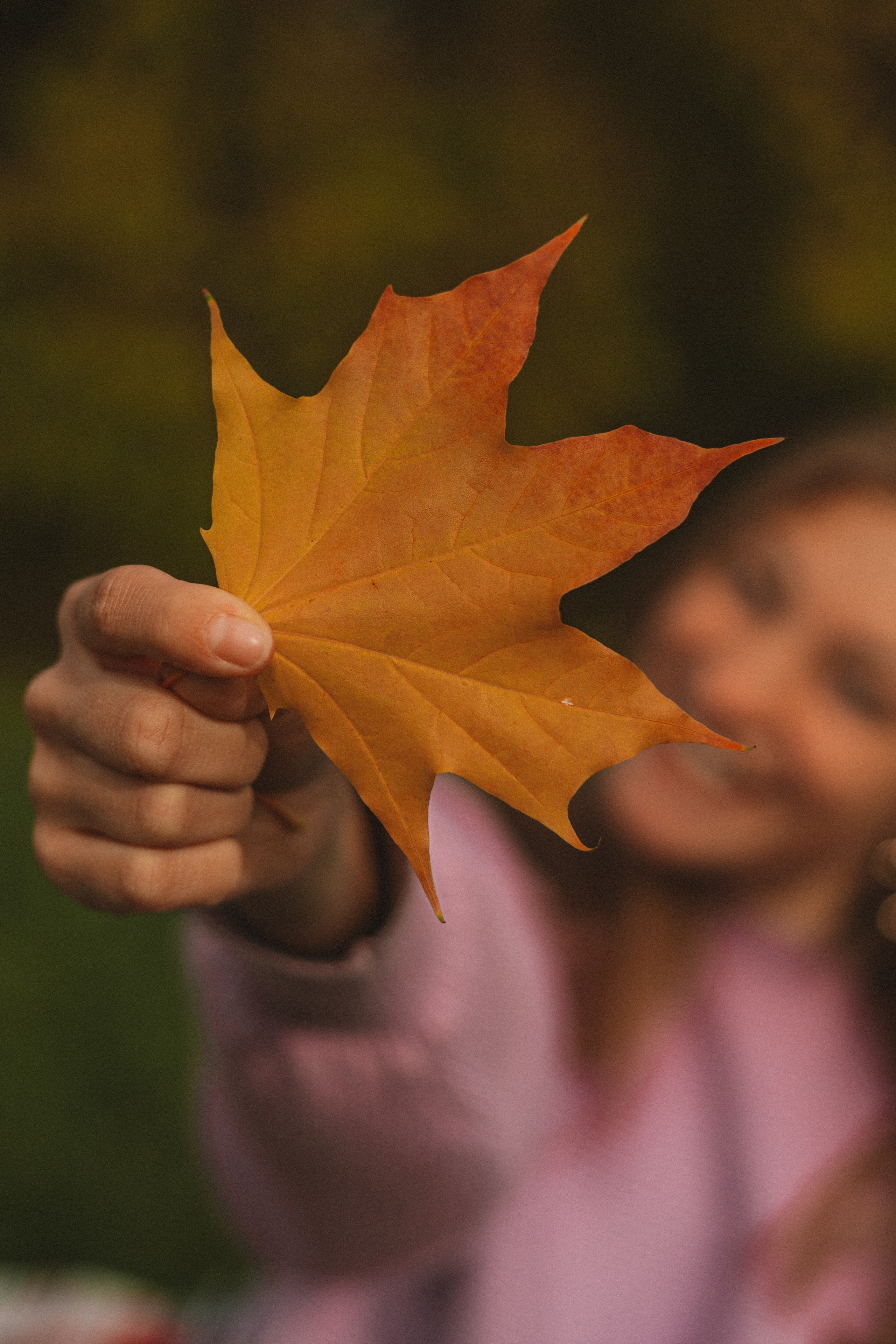 Легенды осени. Семейный фотограф в Санкт-Петербурге Ева Маркова