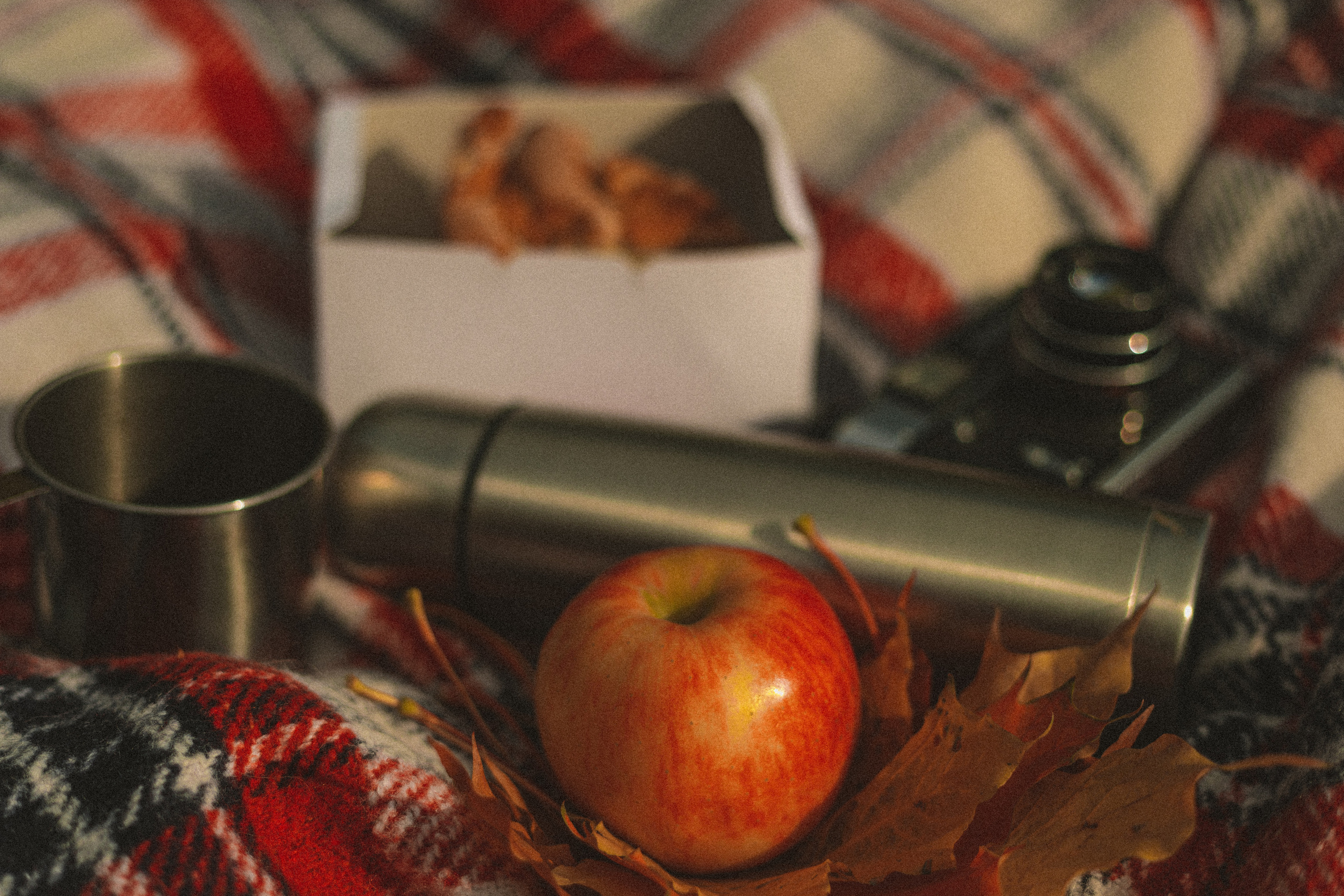 Легенды осени. Семейный фотограф в Санкт-Петербурге Ева Маркова