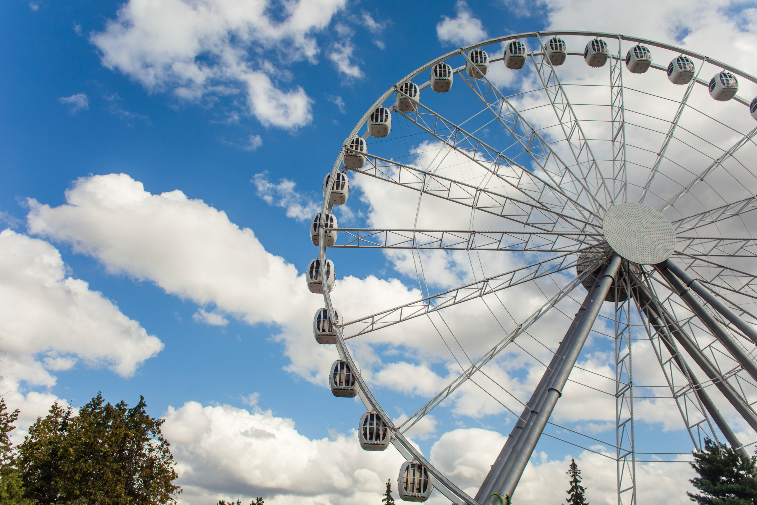 Диво остров. Семейный фотограф в Санкт-Петербурге Ева Маркова