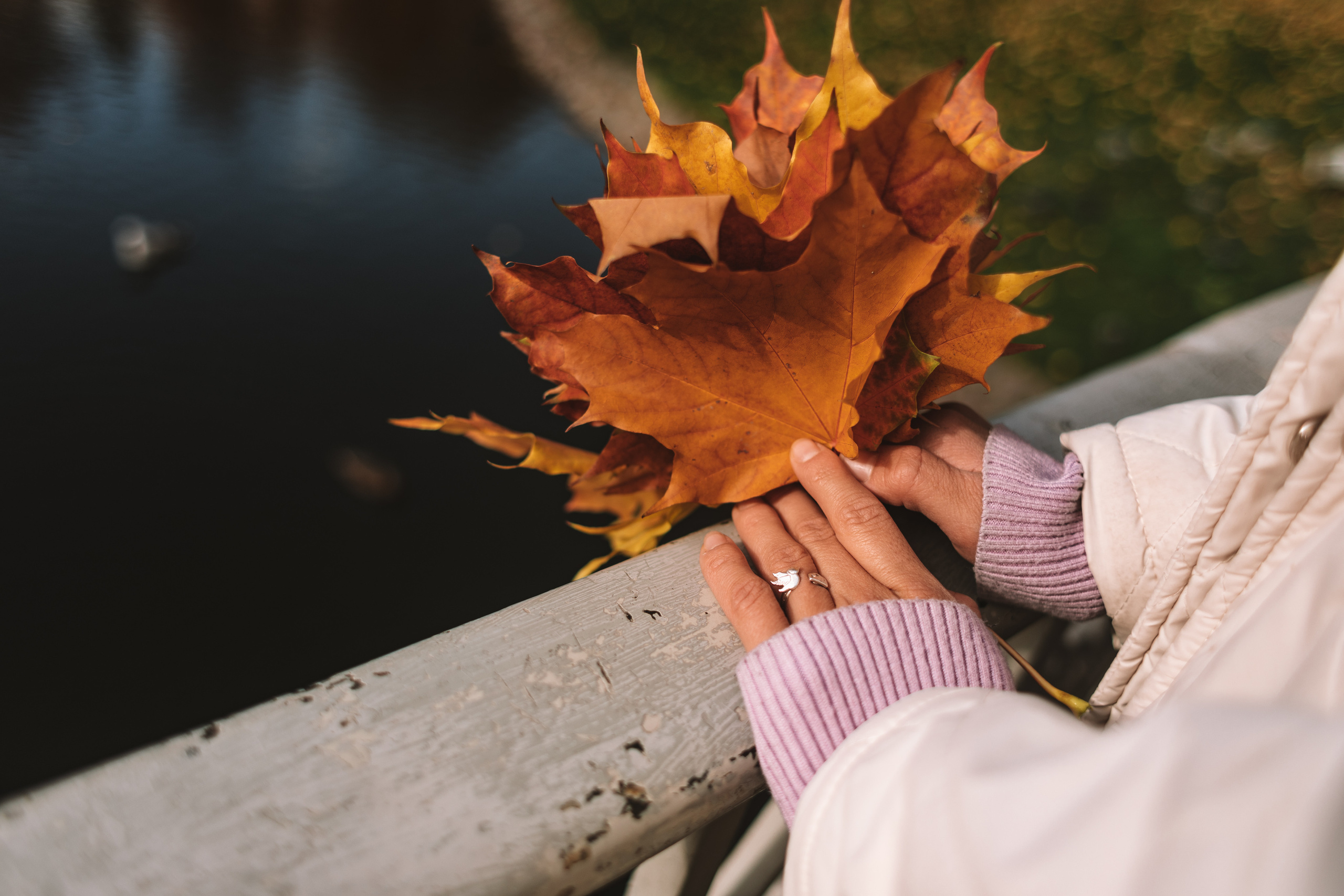 Легенды осени. Семейный фотограф в Санкт-Петербурге Ева Маркова
