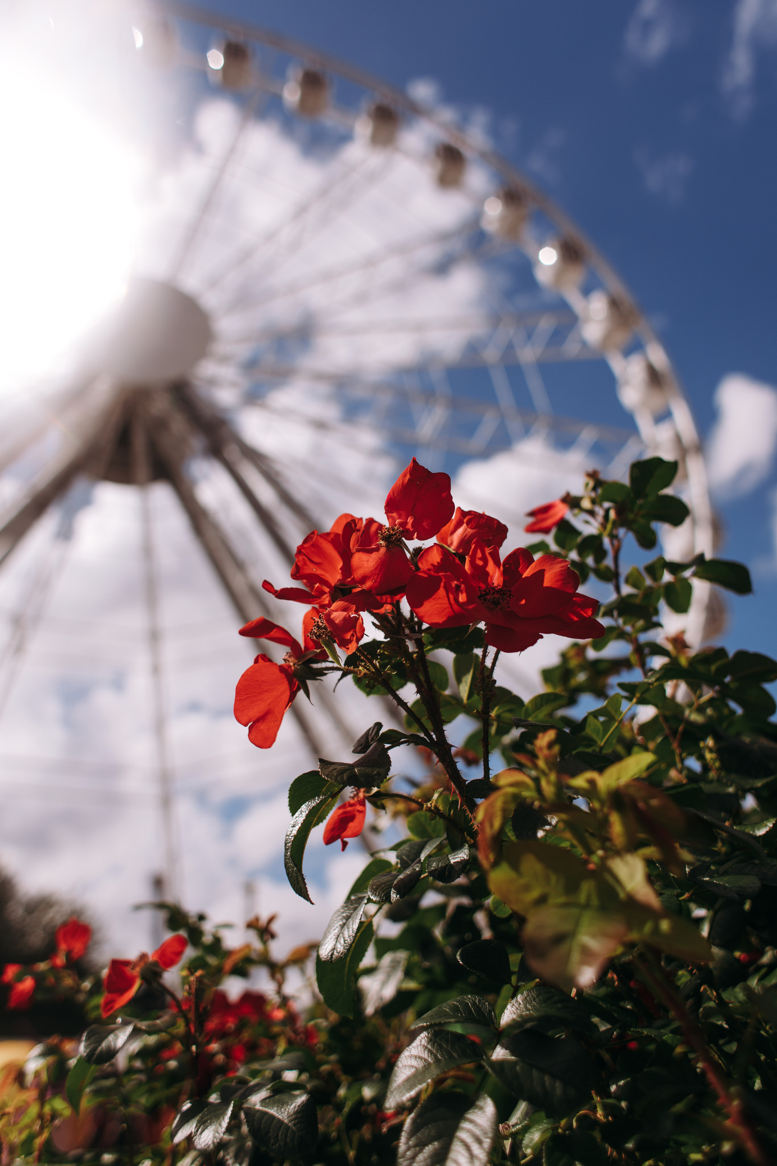 Диво остров. Семейный фотограф в Санкт-Петербурге Ева Маркова