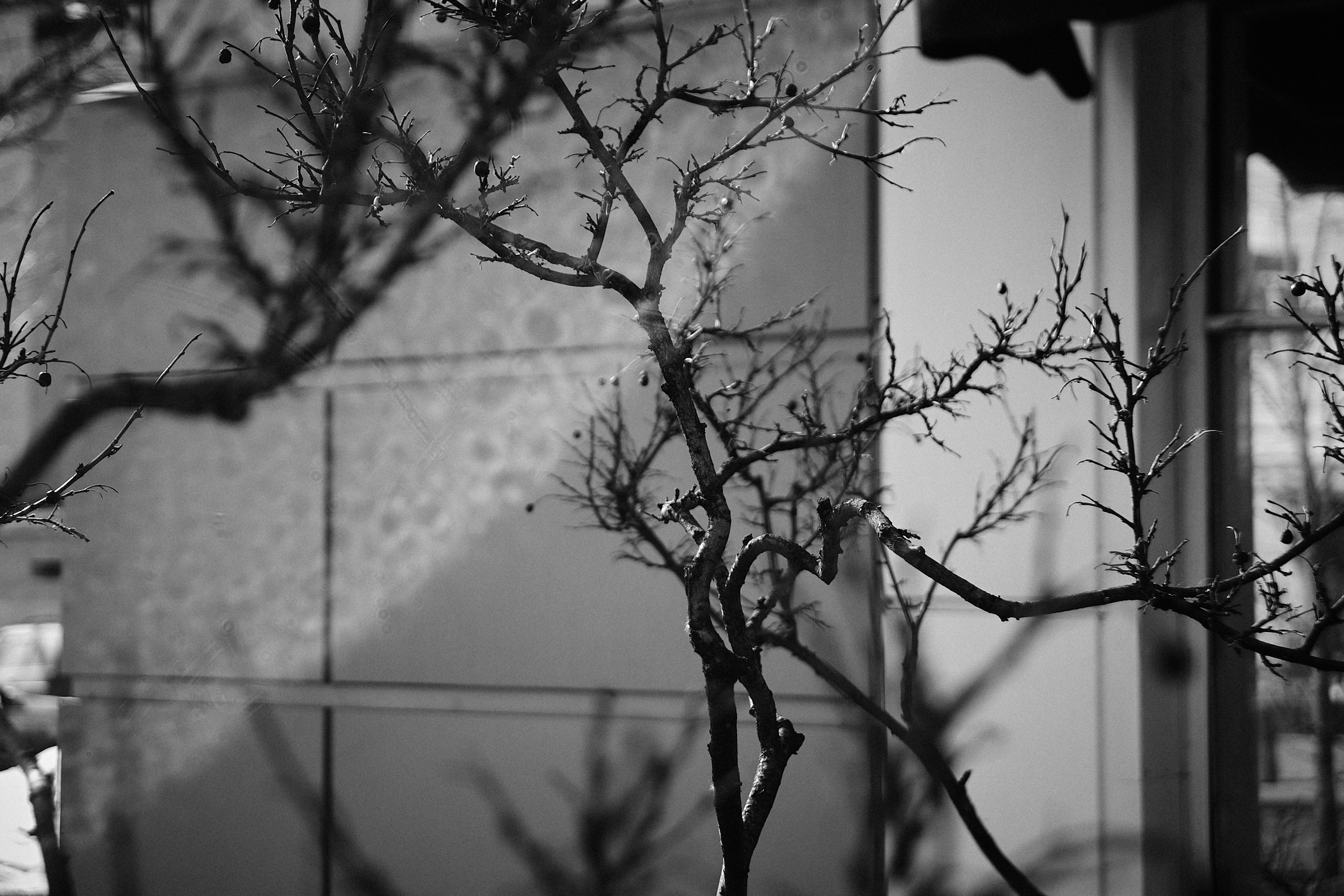 Москва в ЧБ. 23-24. Фотограф и оператор мероприятий, концертов и портретов в городе Москва