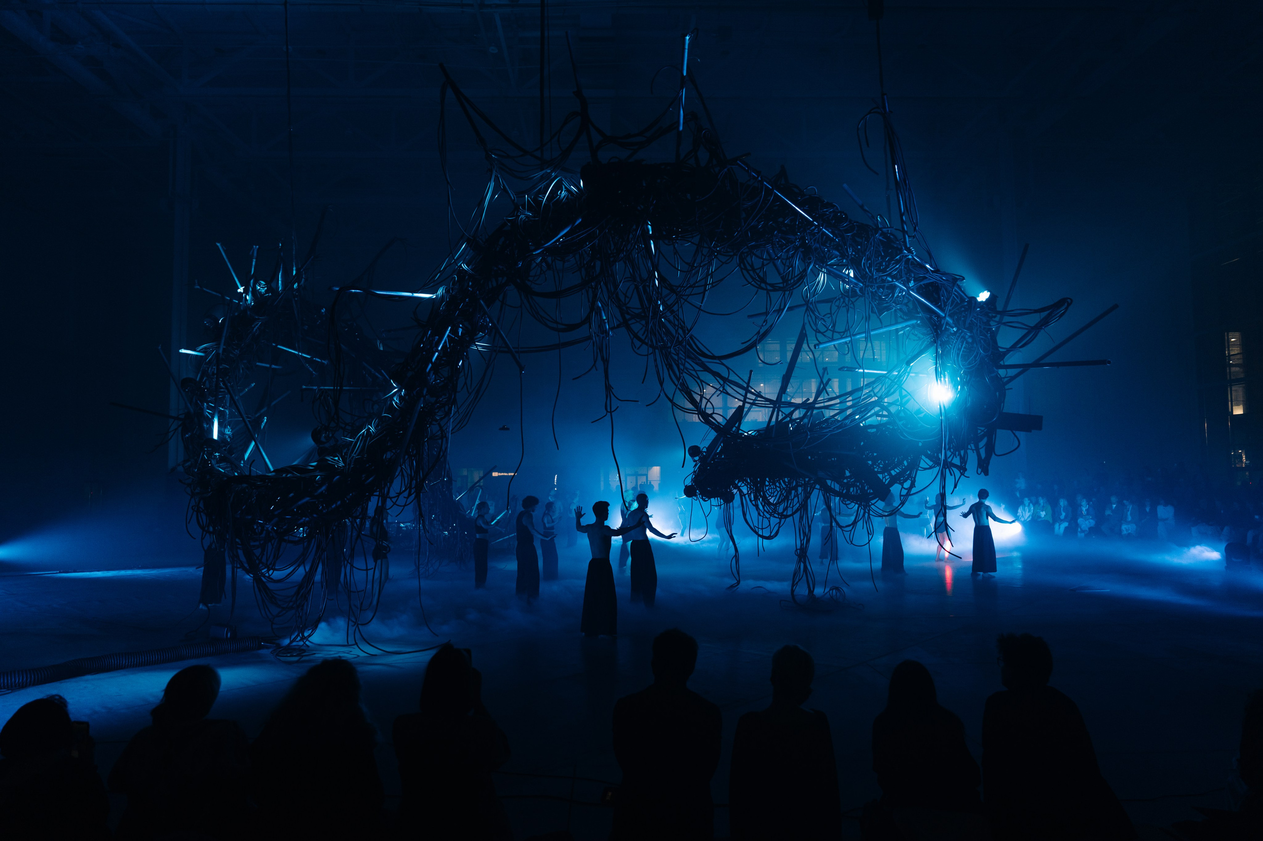 PERFORMA, The Hour of the Horse. @tomrus: Рустам Шагиморданов — фотограф