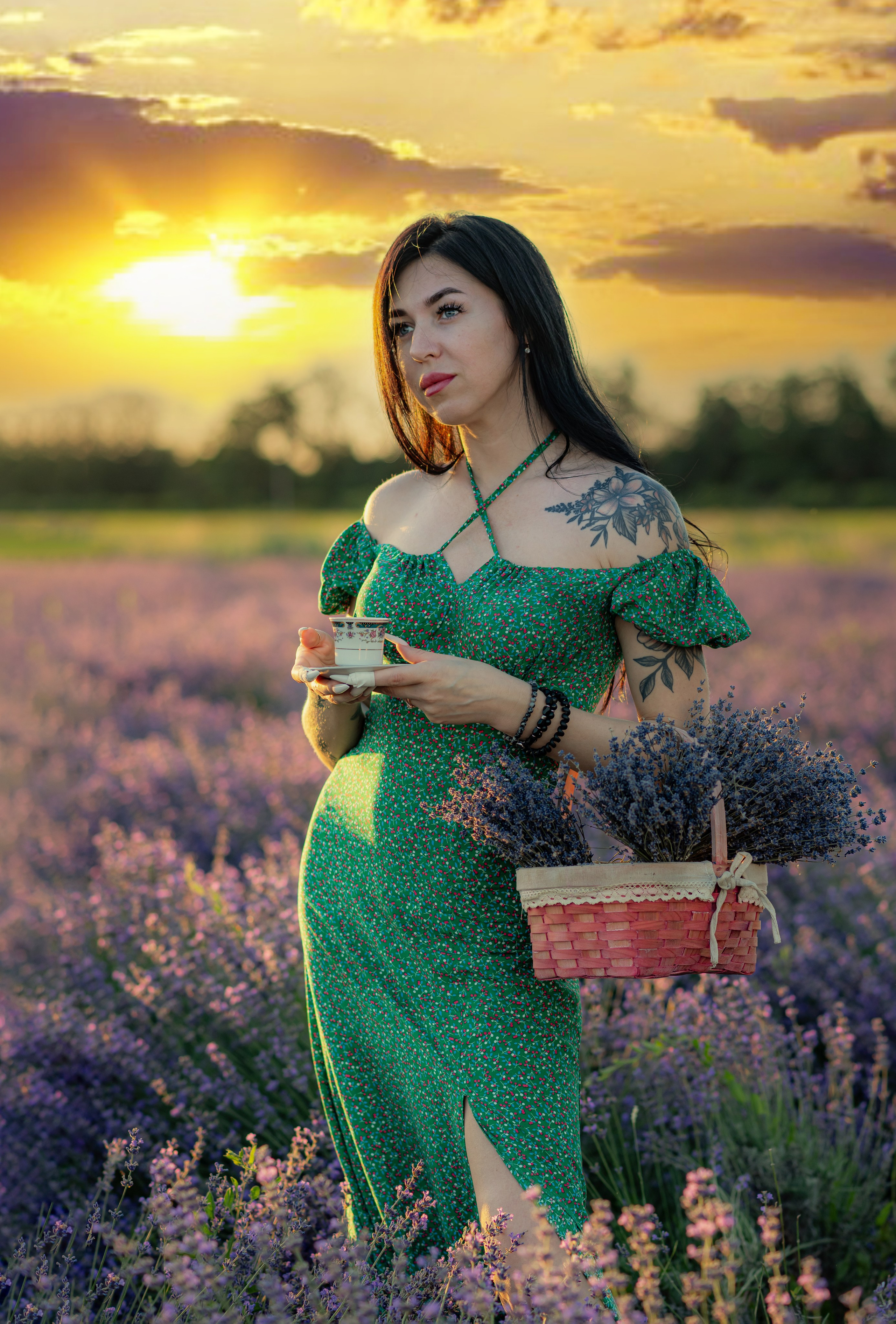 Лаванда. Главная