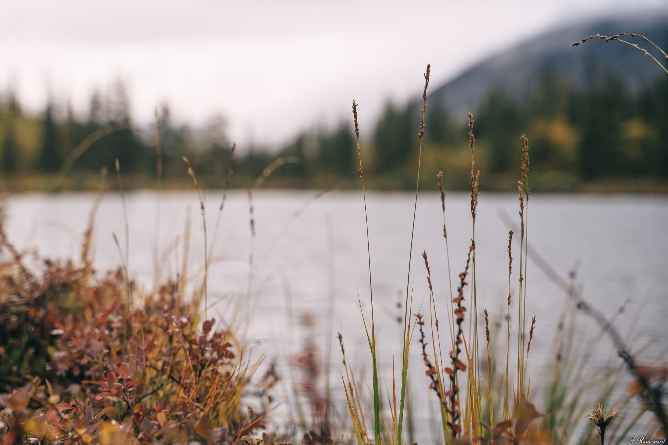 ХИБИНЫ 2021 г. Event фотограф Степанова Александра
