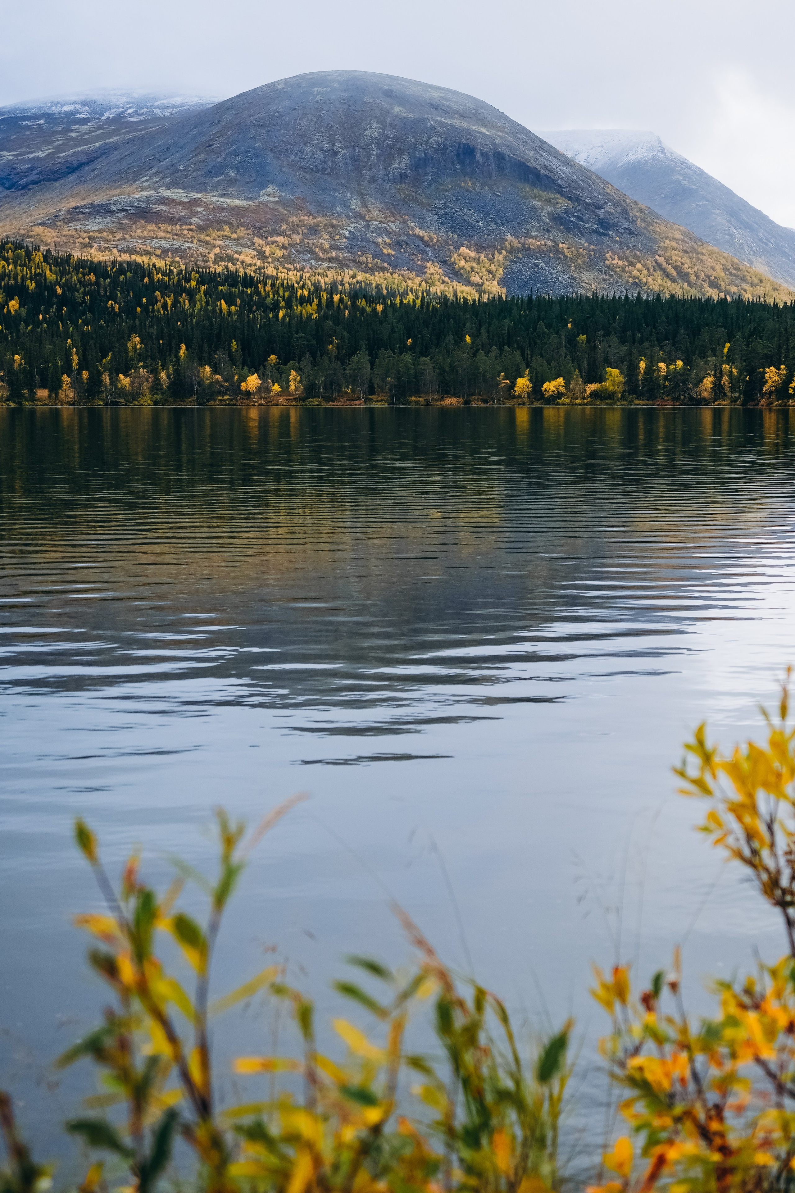 СЕВЕР. Event фотограф Степанова Александра