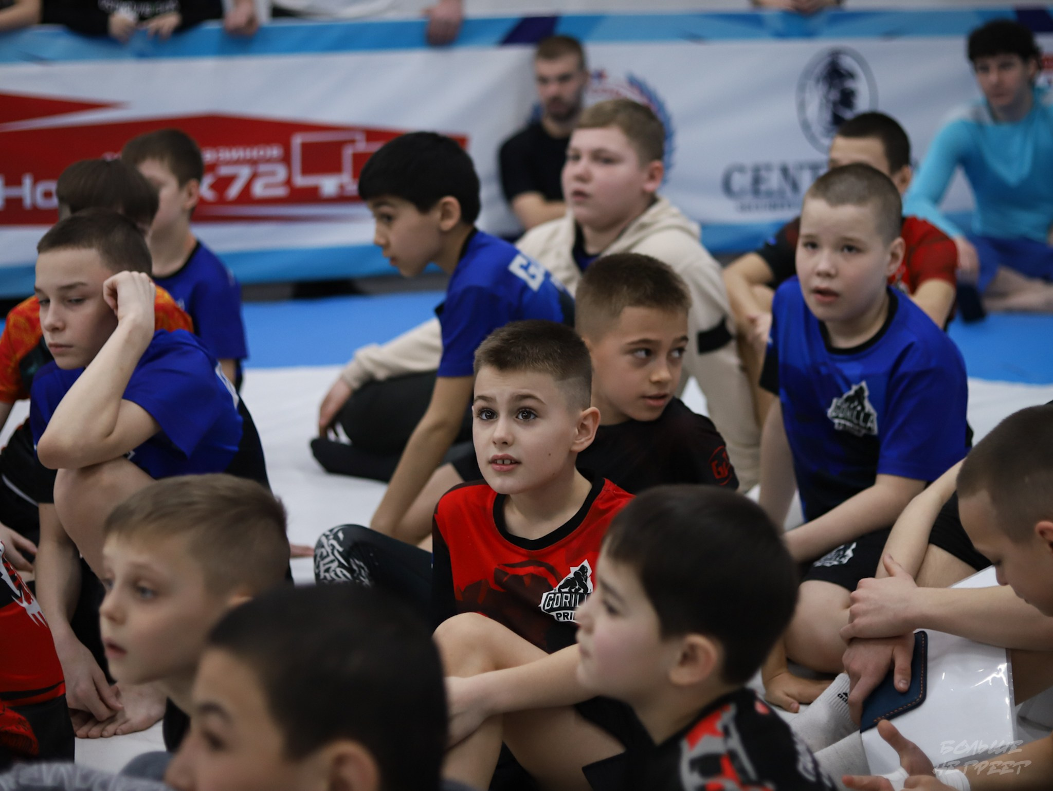 GORILLA PRIDE CUP. Больше не греет