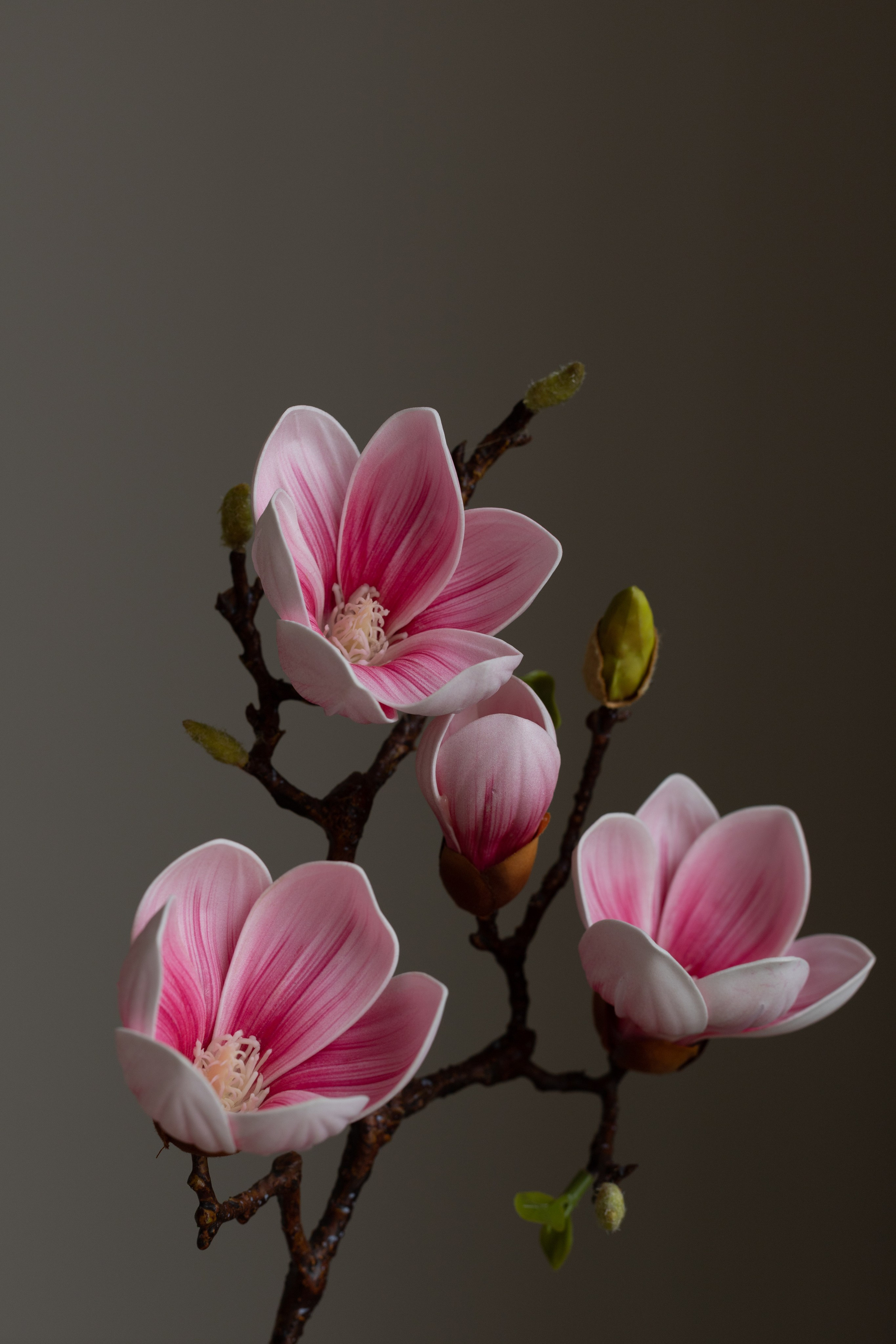 Предметная съёмка. Съёмки для брендов и маркетплейсов