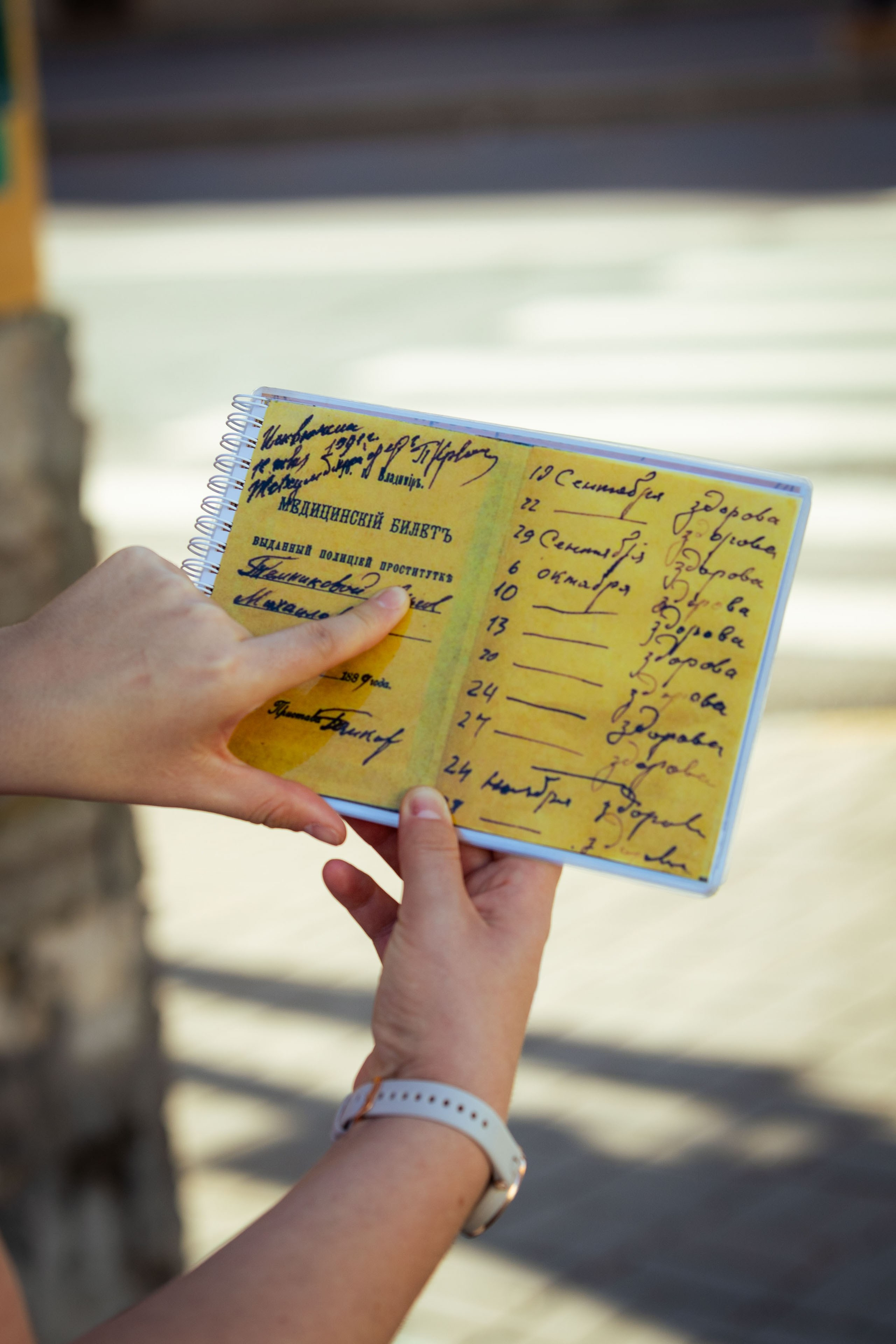 Кольский (осень 2025). Фотограф Виноградов Константин