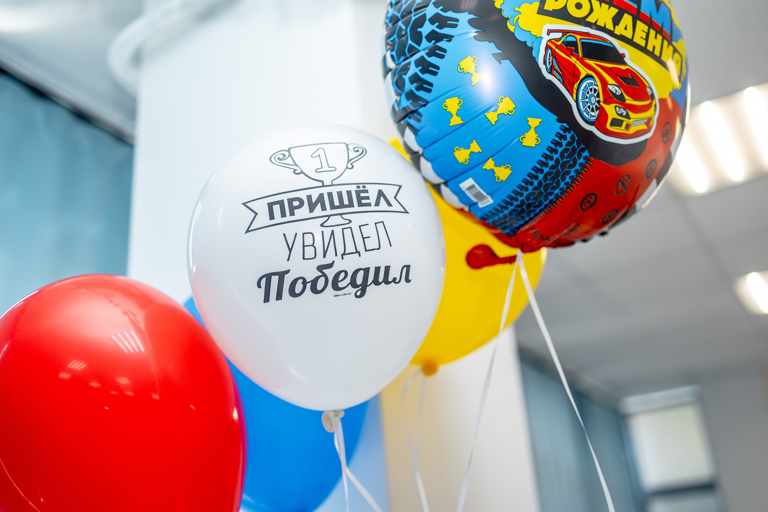 Авокадо. Фотограф Елена Медок Калининград