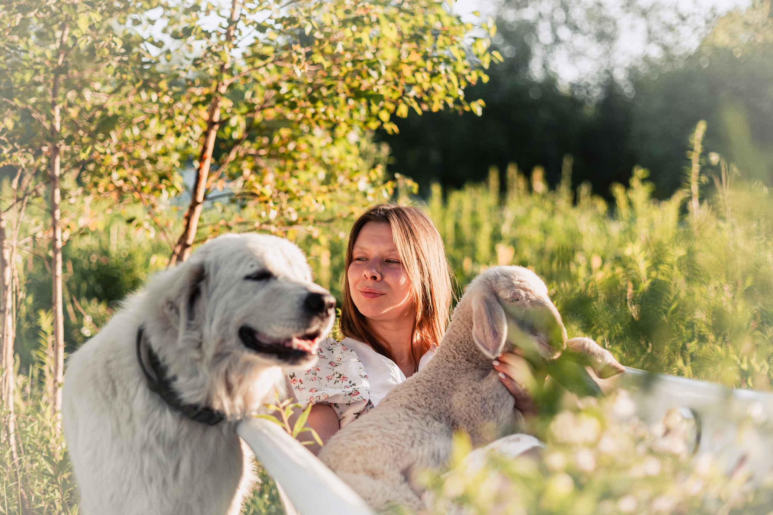 Ванна в поле. Фотограф-анималист Татьяна Степанова