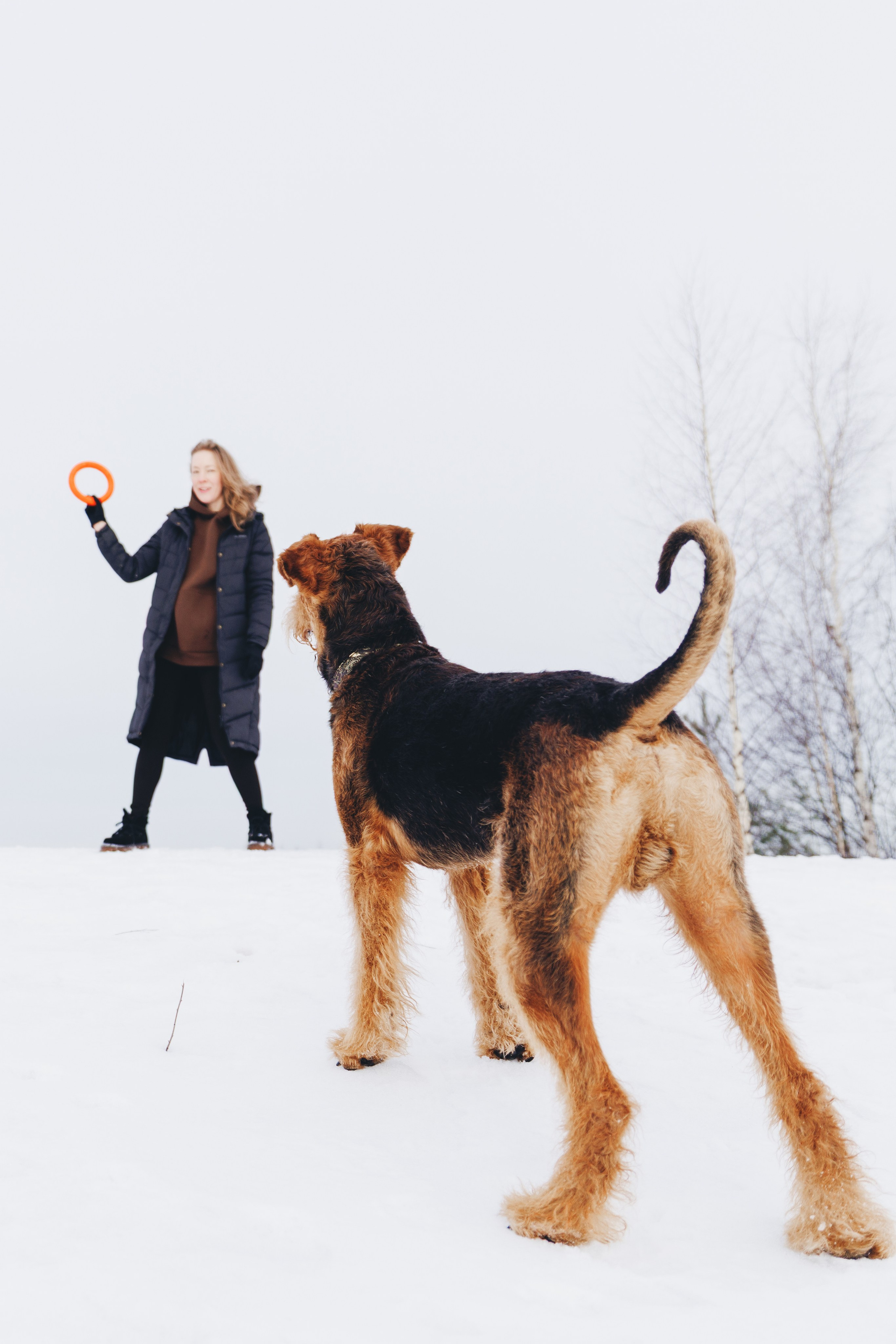 Оля и Хард. Фотограф анималист Осипчикова Мария
