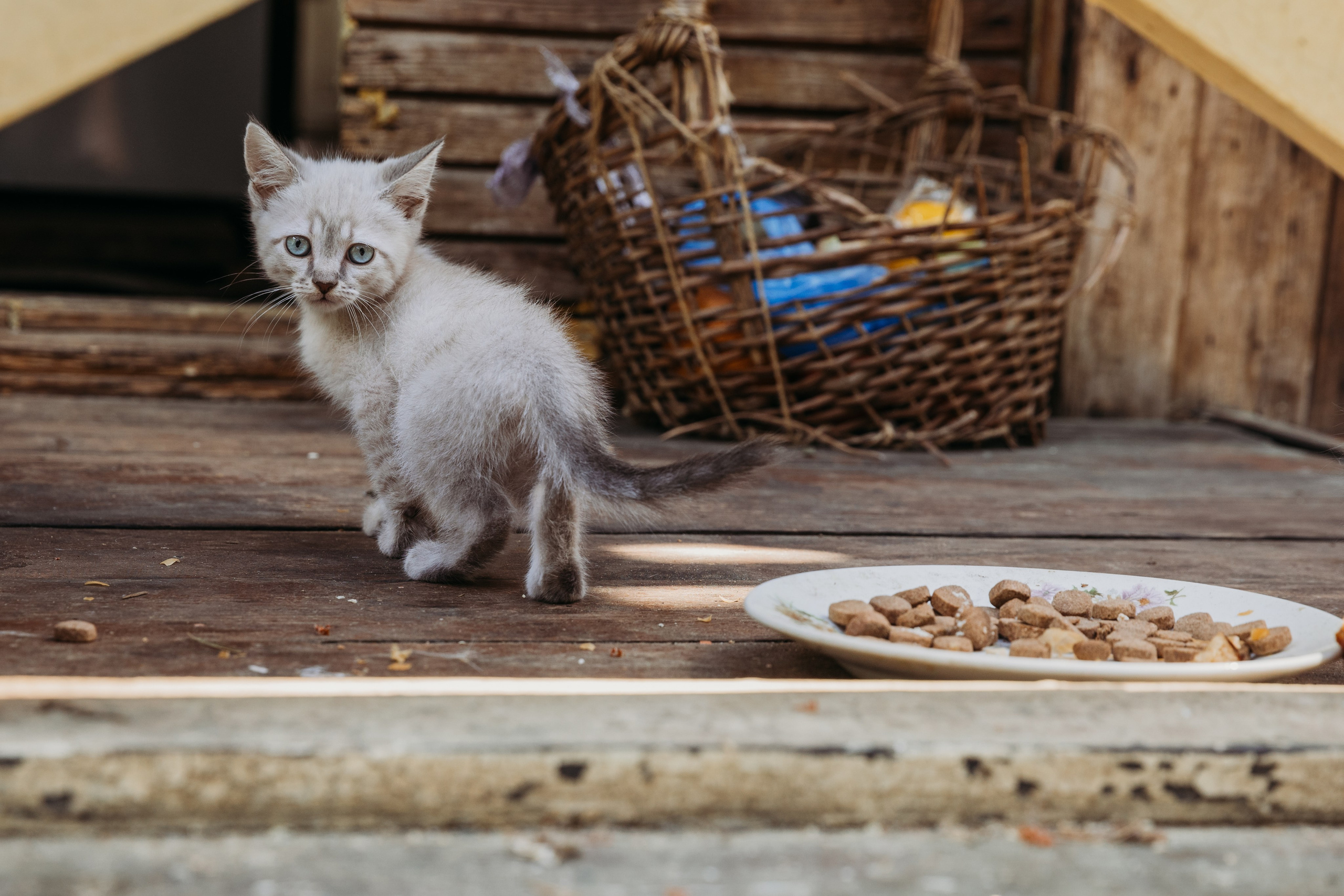 Родные люди «Кратово». Леся Гаранина. Семейный фотограф/видеограф Москва и область