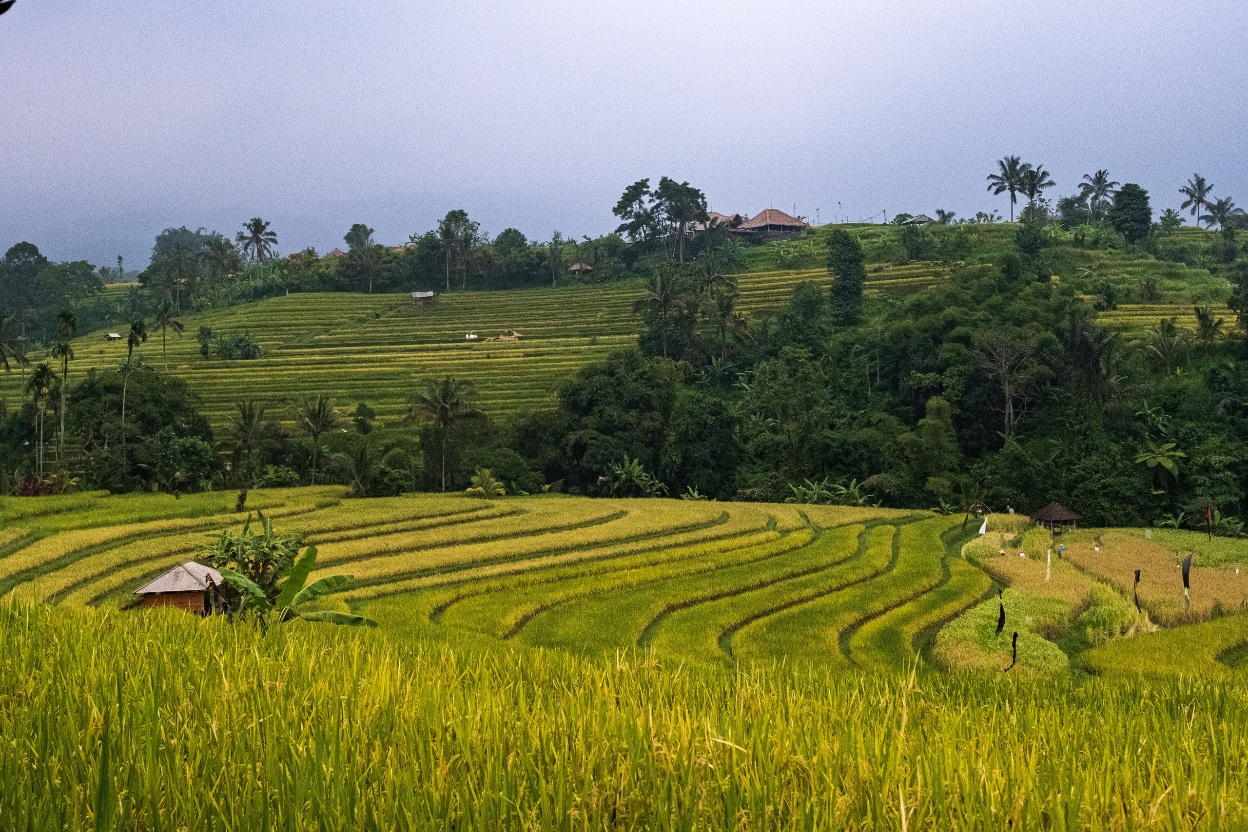 Остров Бали. Фотографии из путешествий