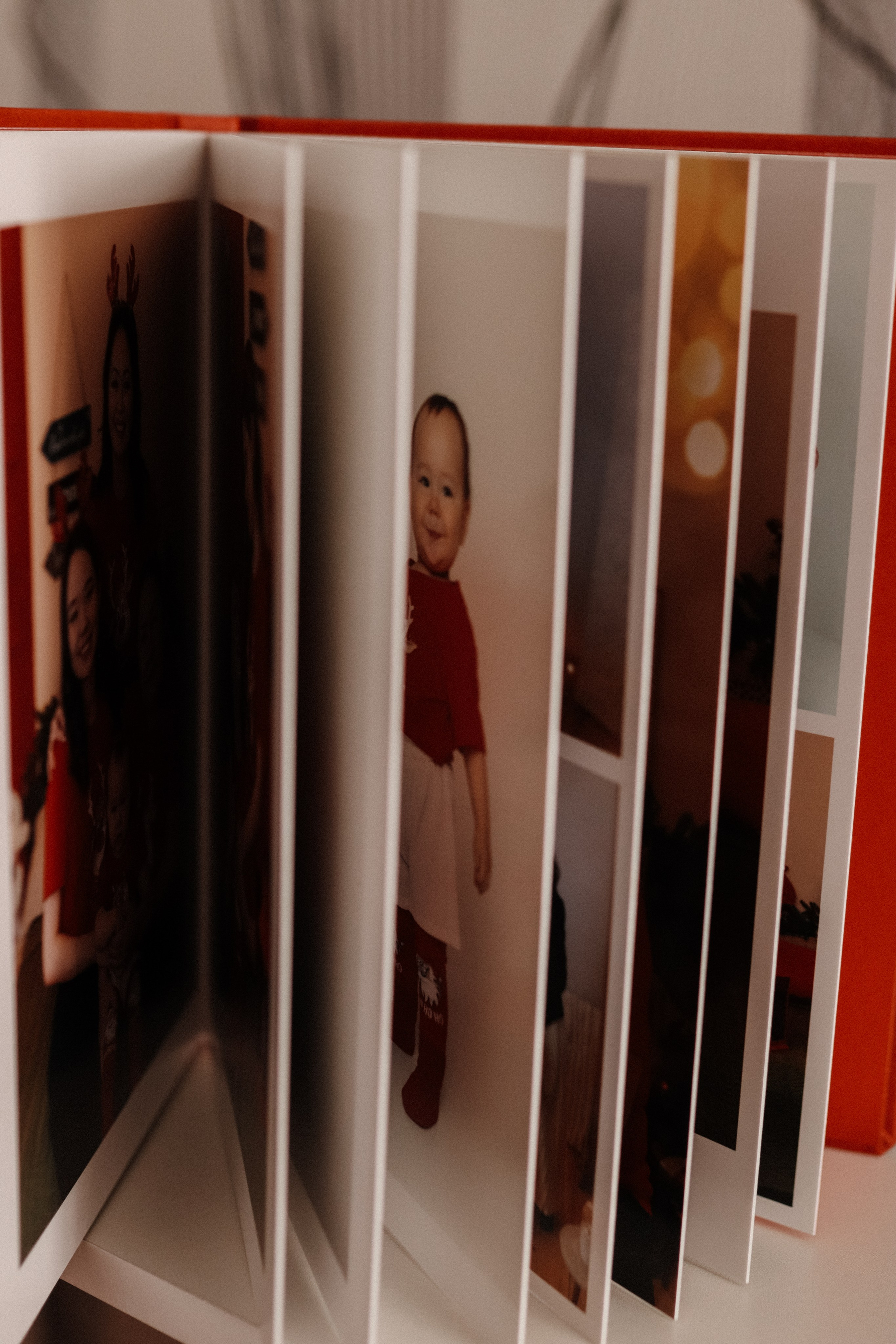 Бардо. Фотограф в Жезказгане. Графический дизайнер