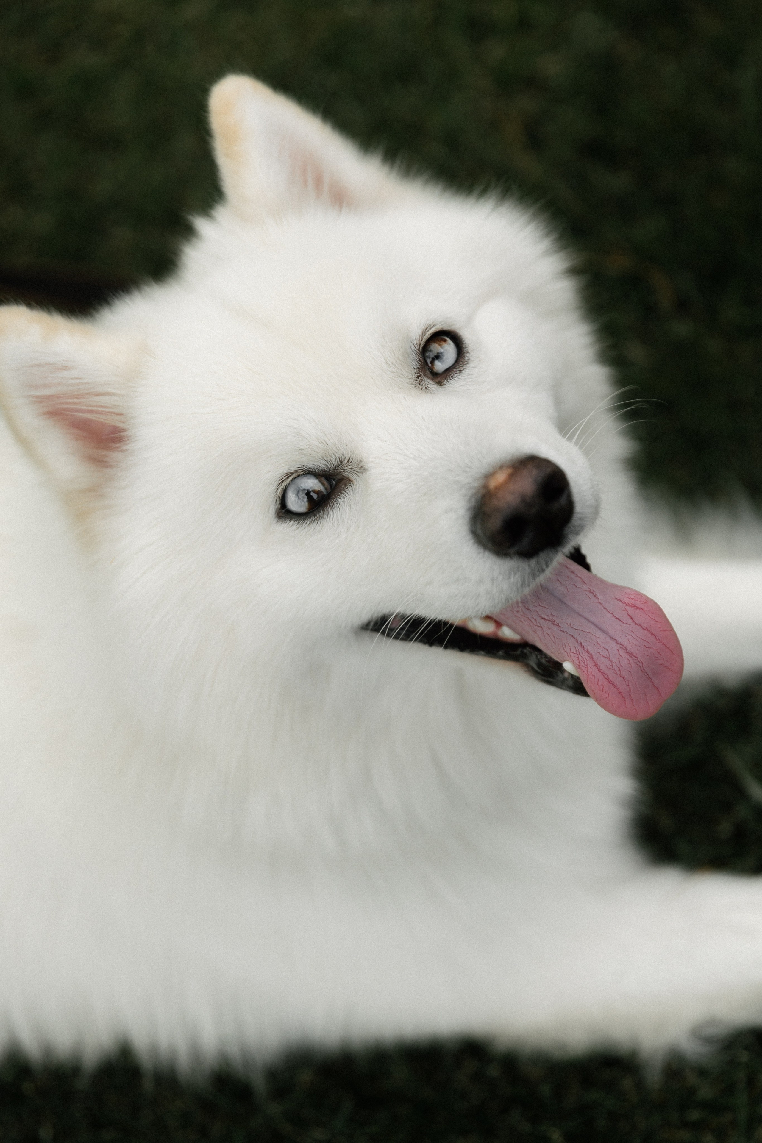 Макс и Настя. Ланемец Юлия — фотограф Волгоград/Волжский