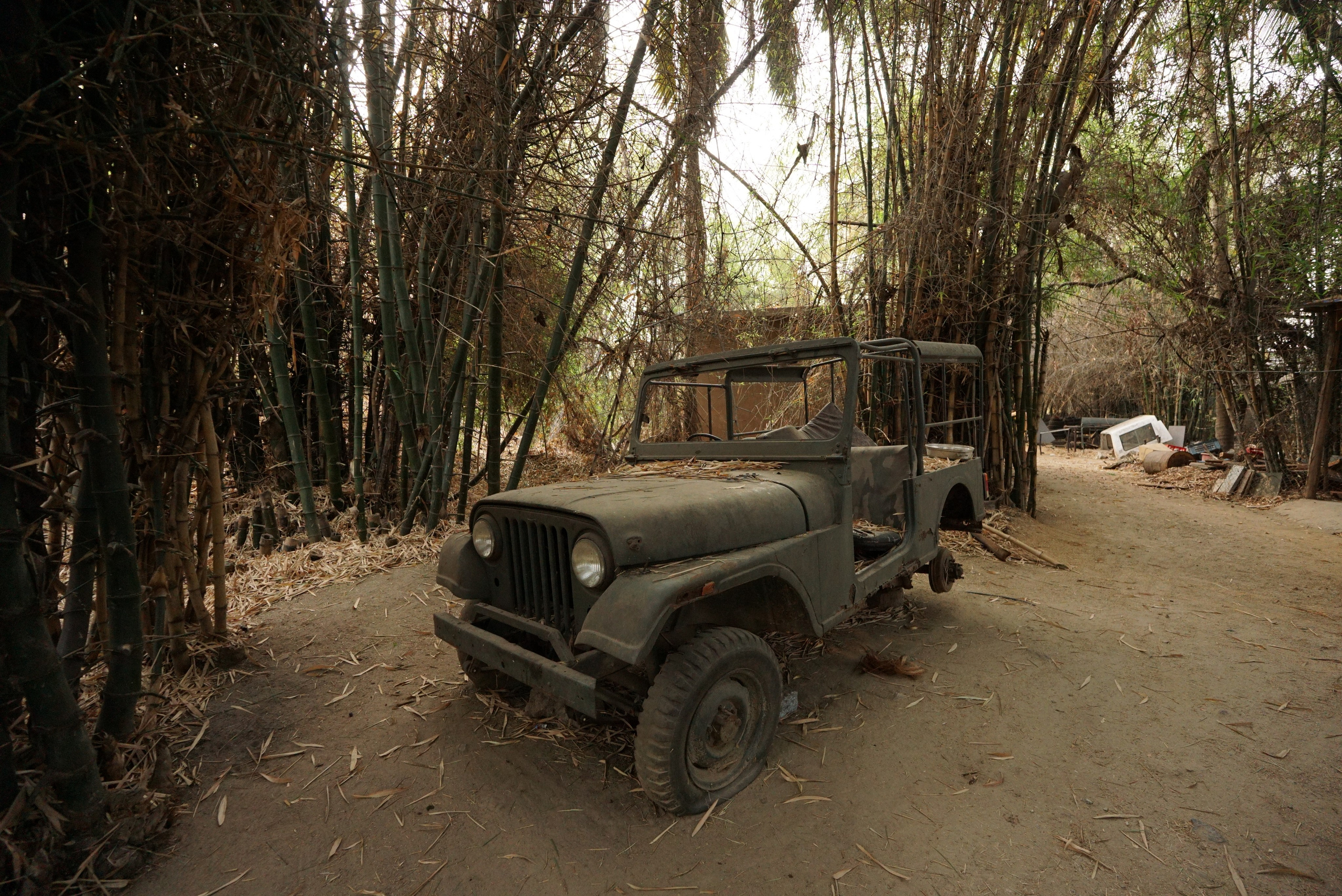 Индия. Живые снимки! Фотограф Даша Бендер