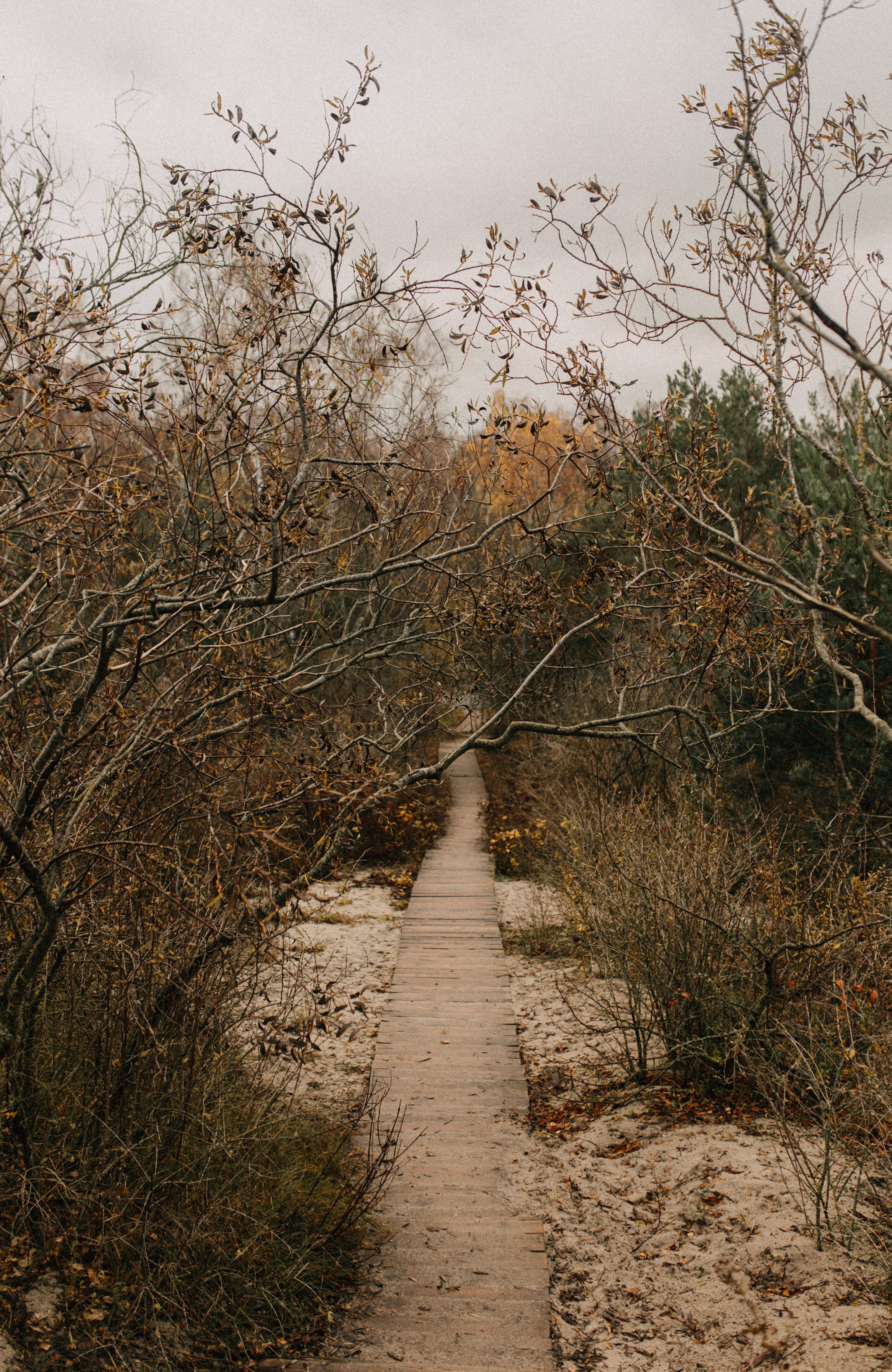 O&D. Свадебный и портретный фотограф в Калининграде и Москве Марк Юдинцев