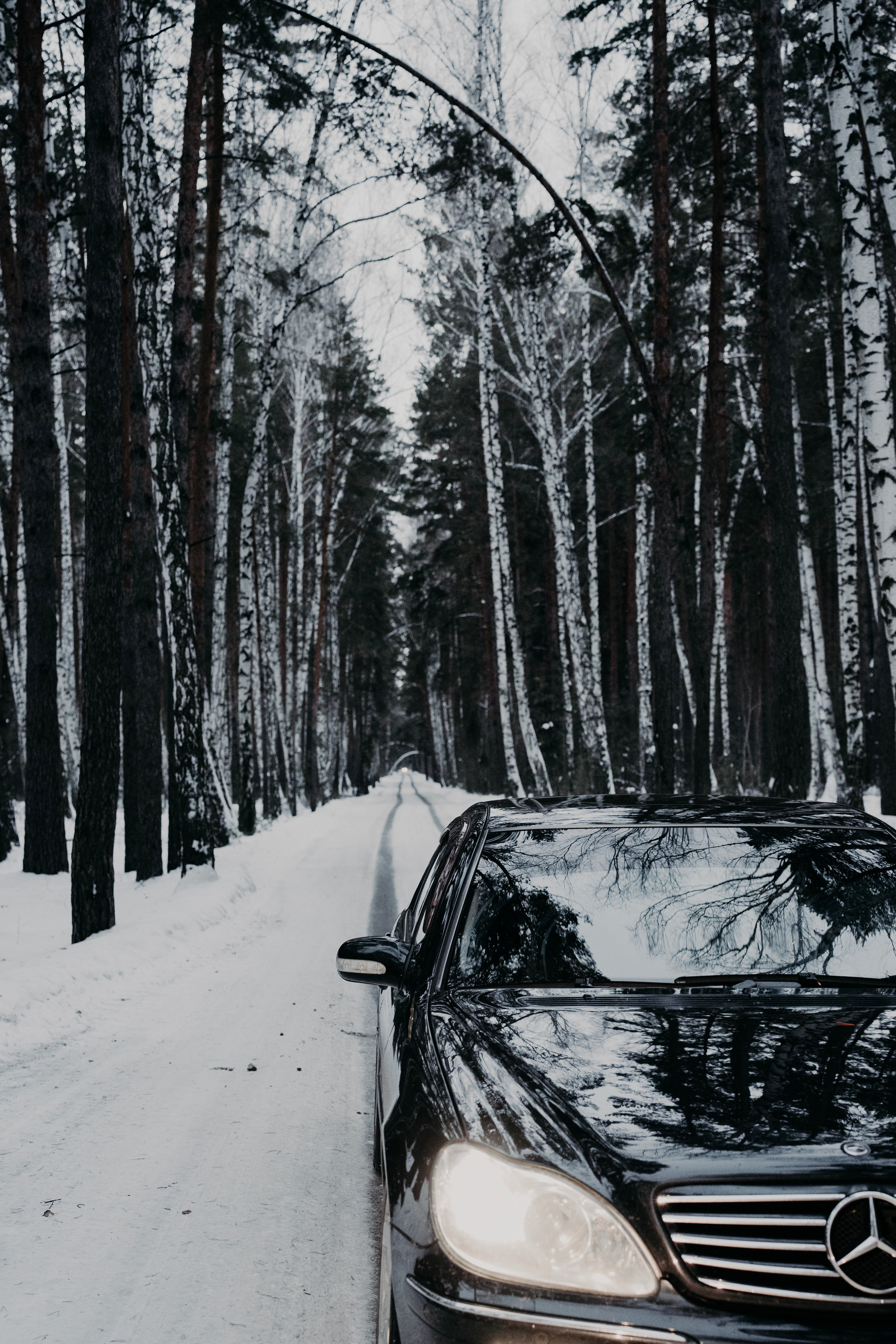 Галина и Дмитрий. Фотограф Ирина Ликсунова