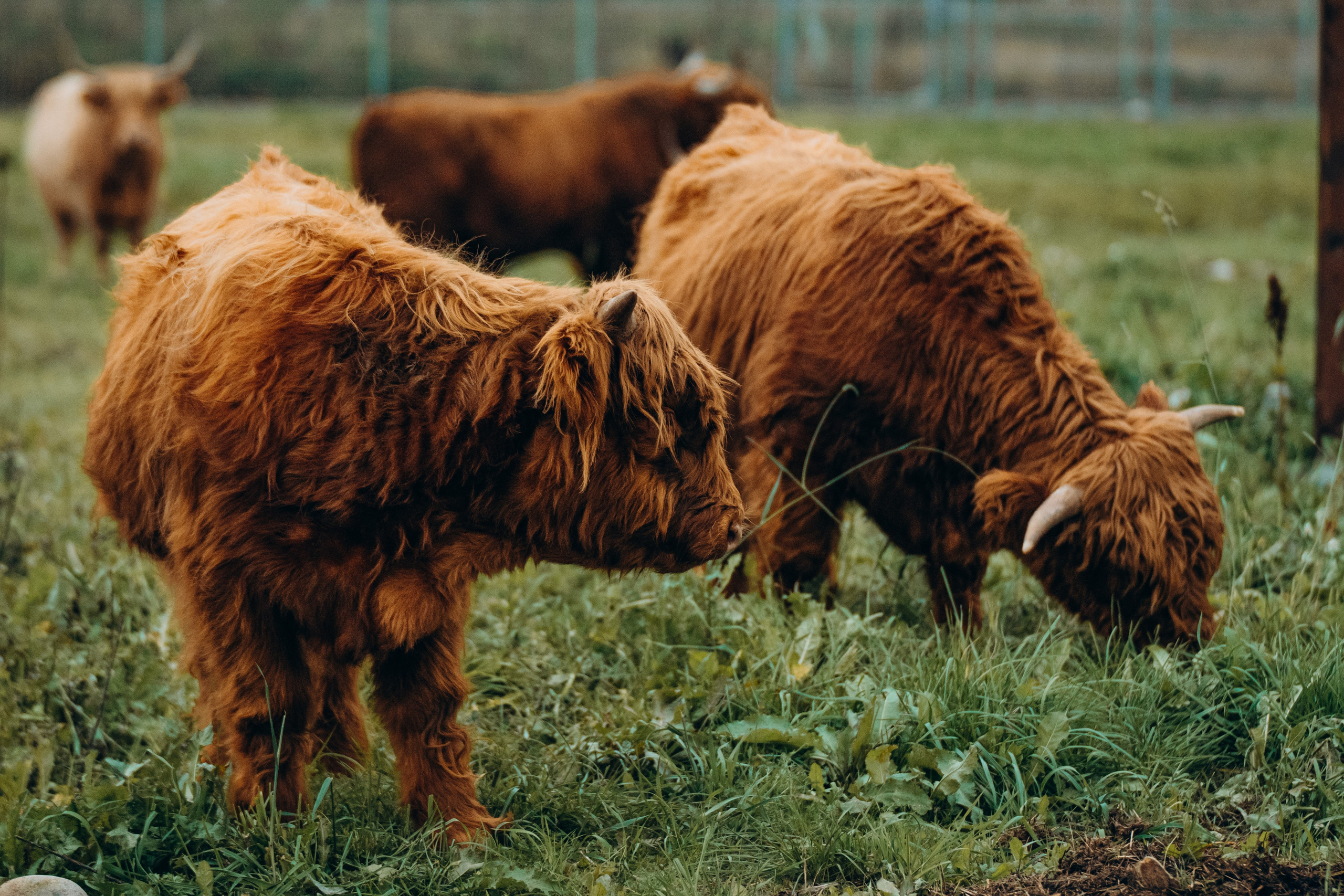 СЕВЕР. Event фотограф Степанова Александра