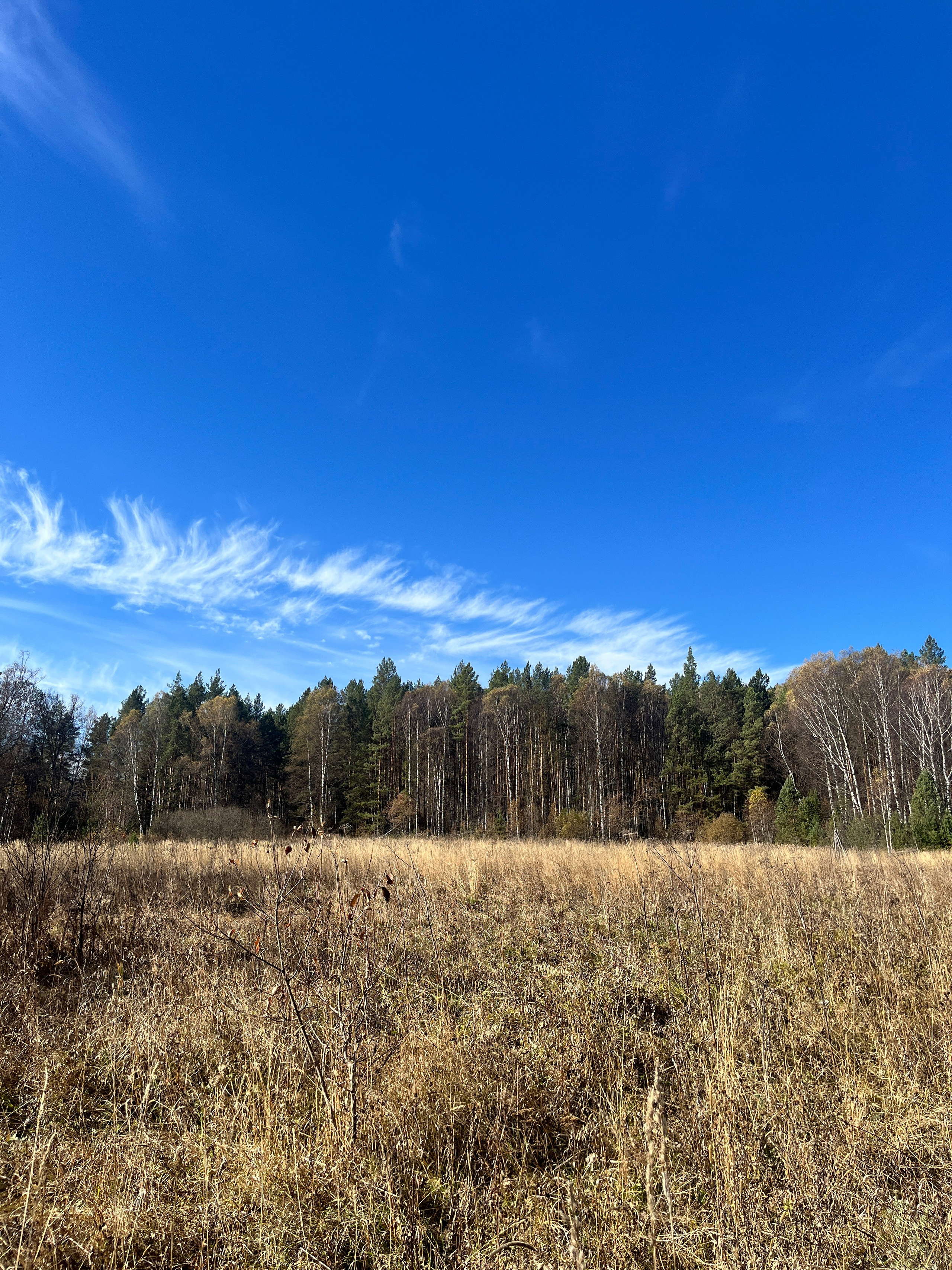 Фото с походов на Пик «Уфа» — Время приключений