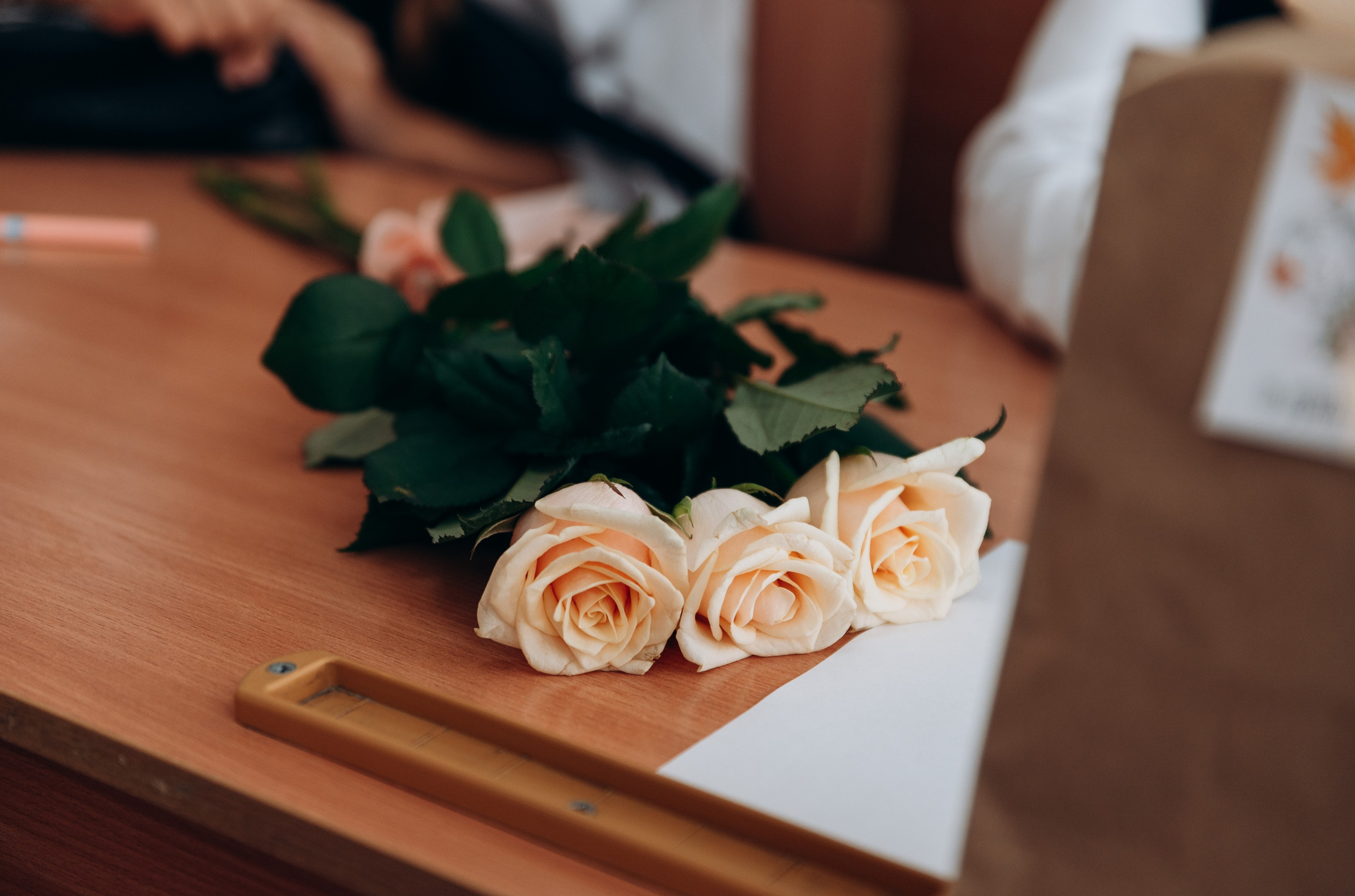 1 Сентября. Фотограф в Новосибирске