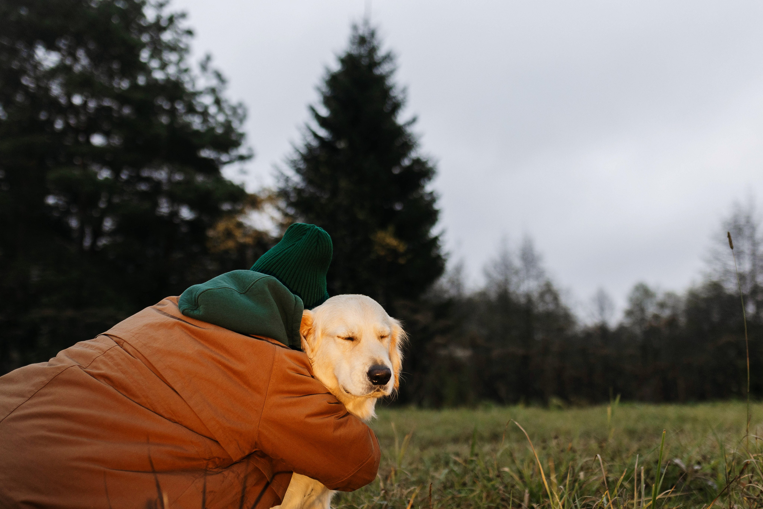 Dogcamp / Полина и Миша. Фотограф Кузина Вера